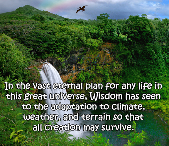 Reflection by Sr. Diane Capozzi, DW