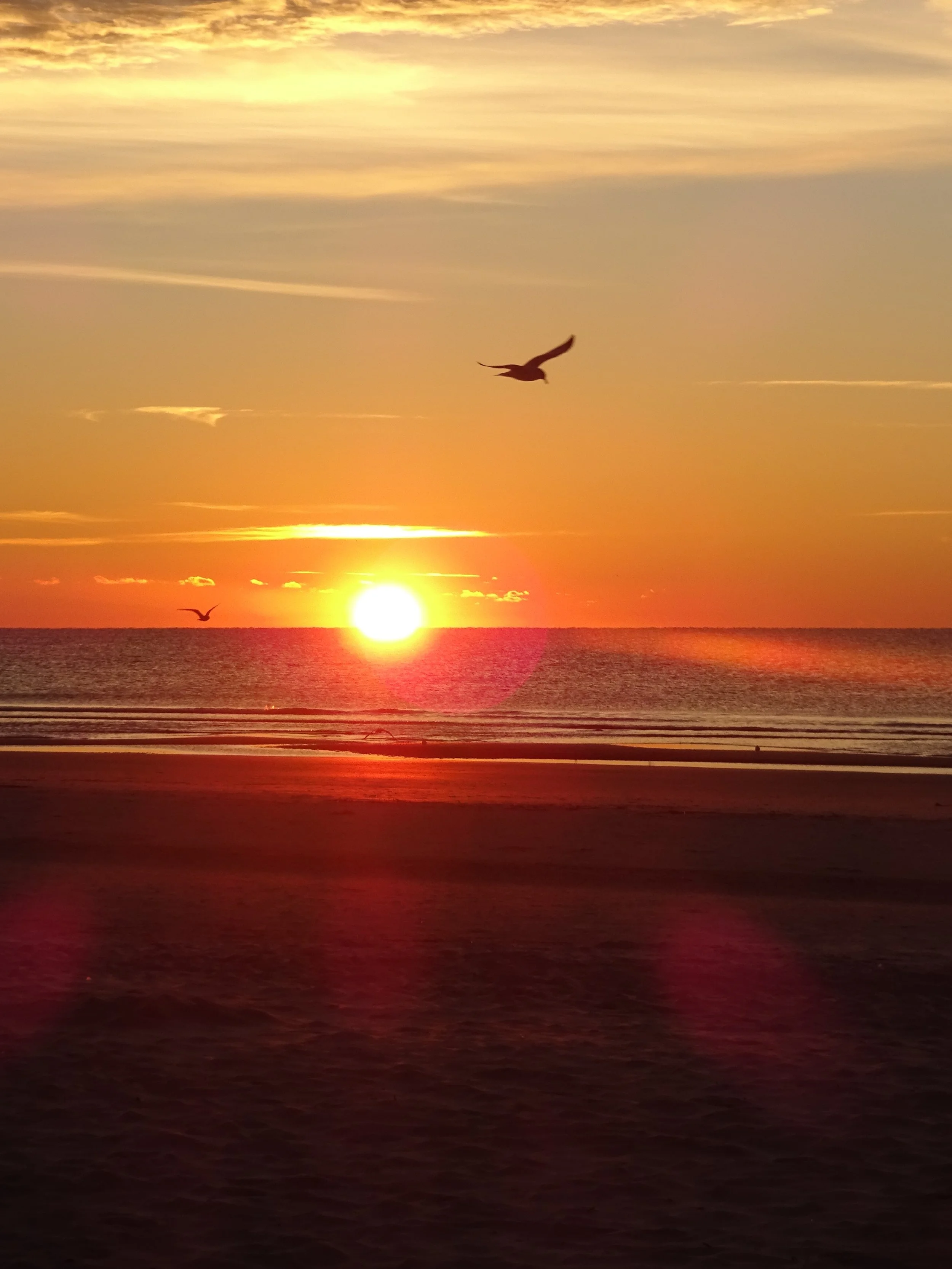 Reflection by Sr. Cathleen Murtha, DW