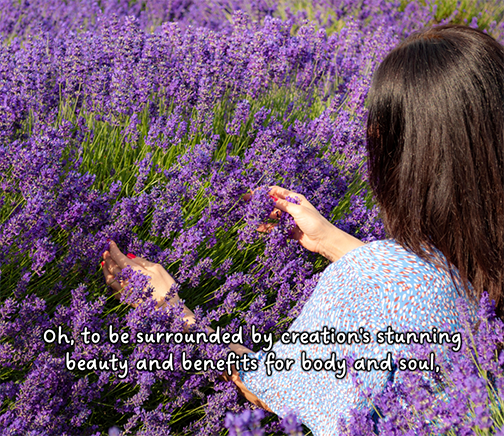 Reflection by Associate of Wisdom Audrey J. Schroeder