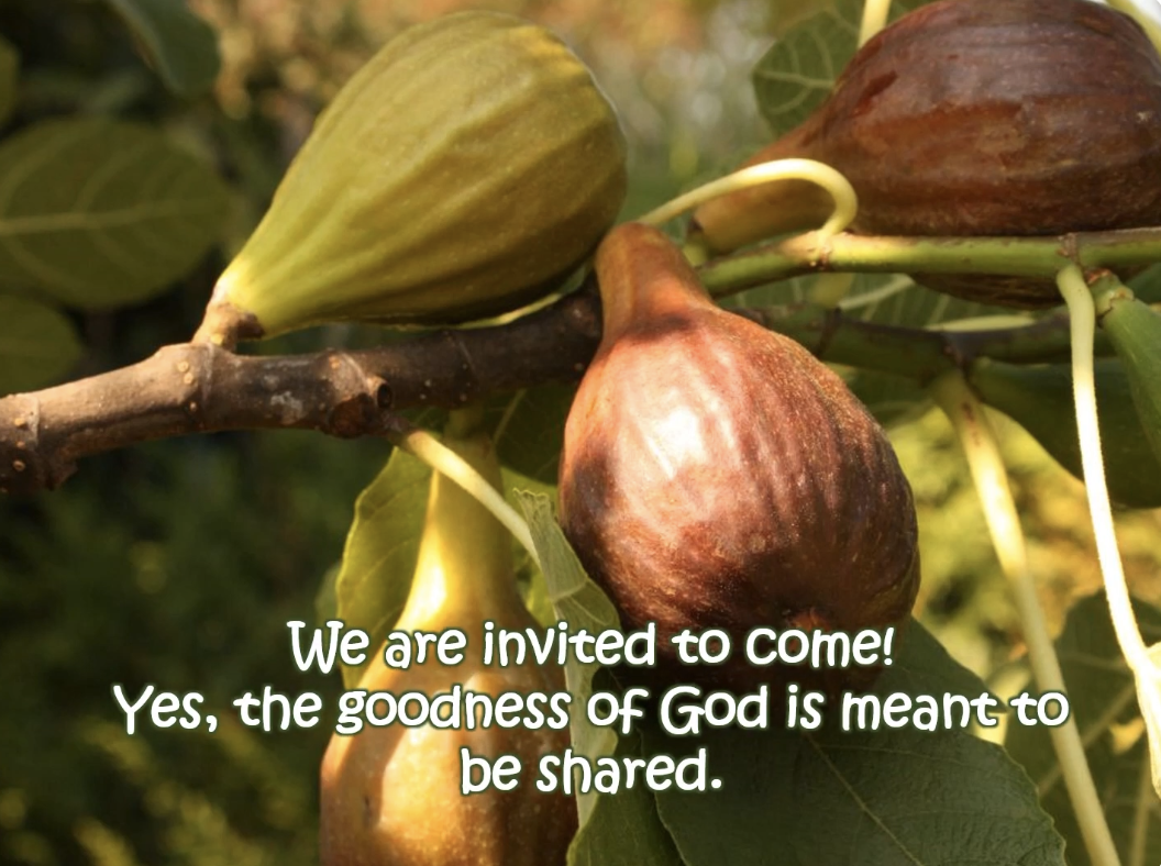 Reflection by Associate of Wisdom Audrey J. Schroeder