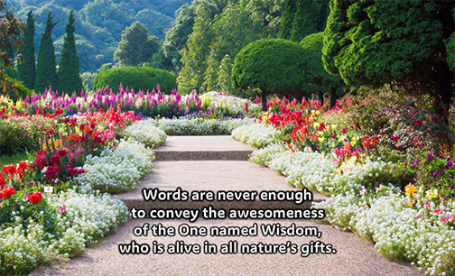 Reflection by Associate of Wisdom Ellie Filippone