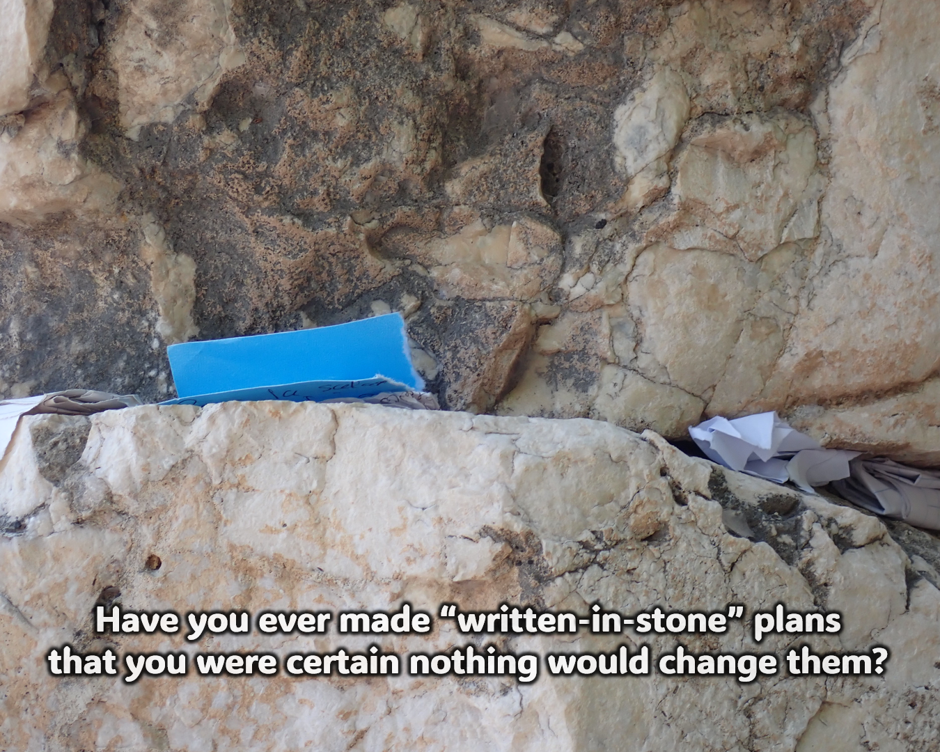 Reflection by Associate of Wisdom Ellie Filippone