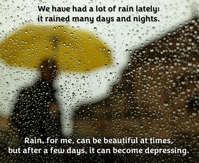 Reflection by Associate of Wisdom Bonnie Zaman