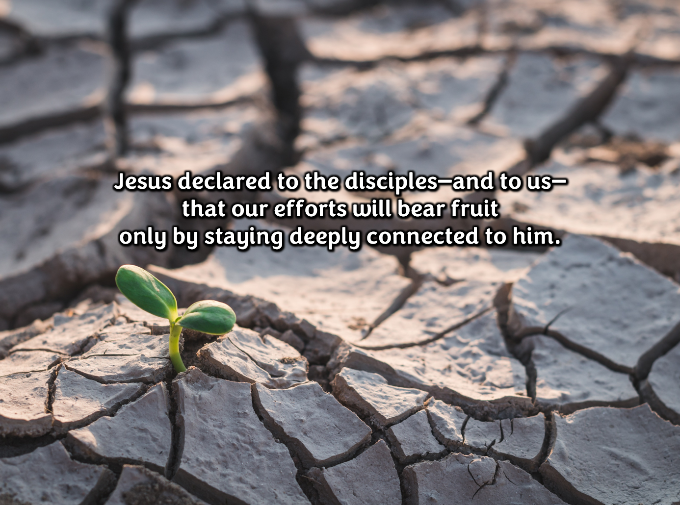 Reflection by Sr. Evelyn Eckhardt, DW