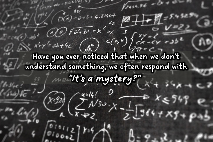 Refllection by Sr. Diane Capozzi, DW