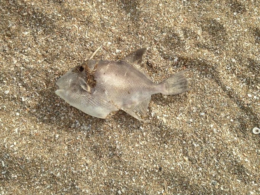 Inspirational Thought