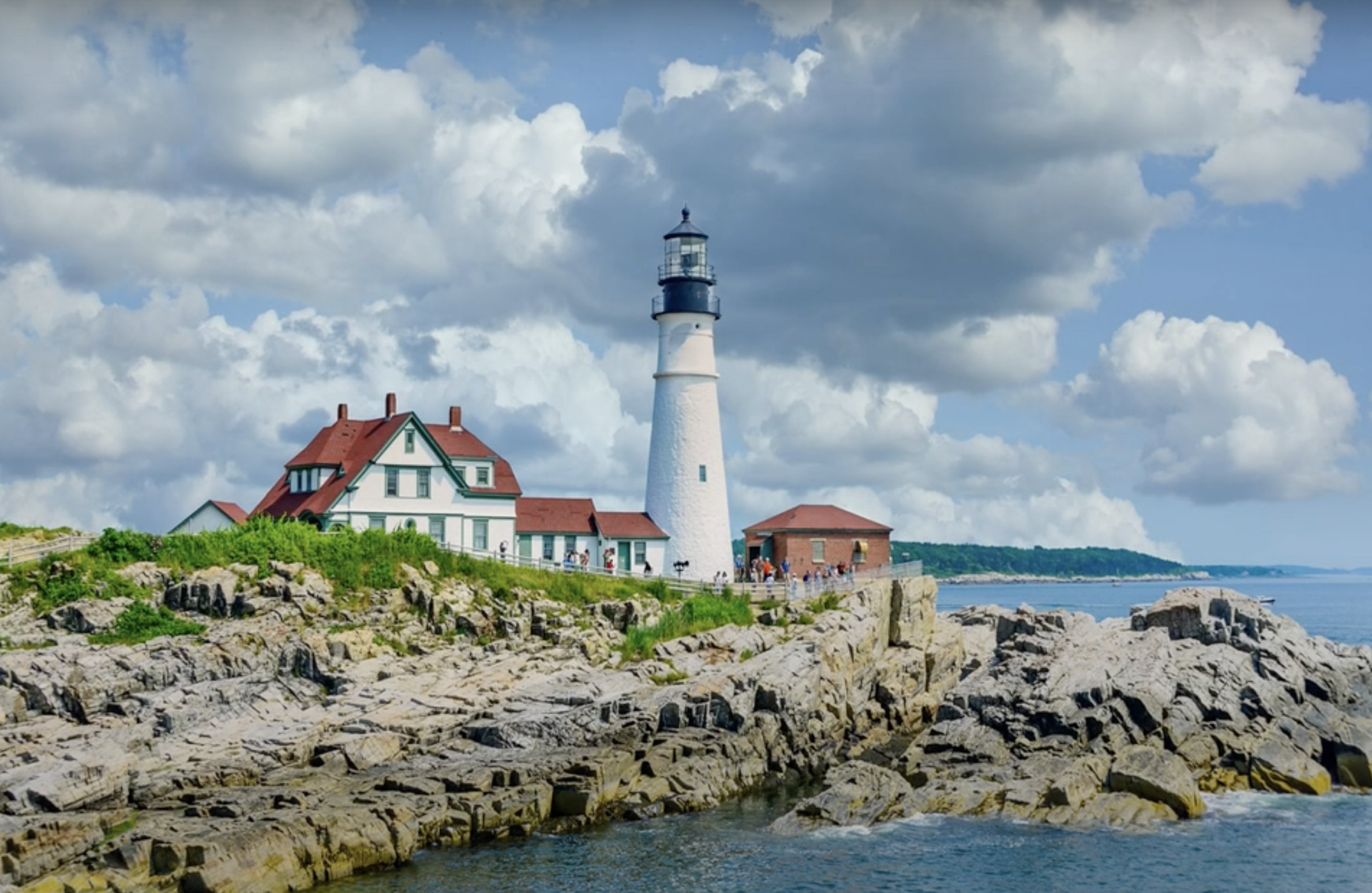 Reflection by Pat Wolosz, Associate of Wisdom