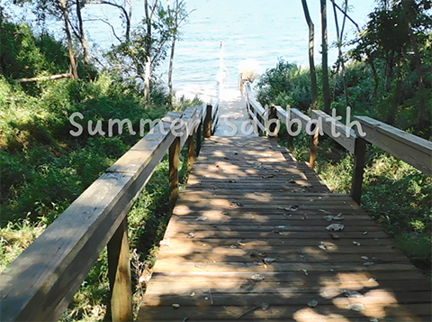 Reflection by Associate of Wisdom Pat Wolosz