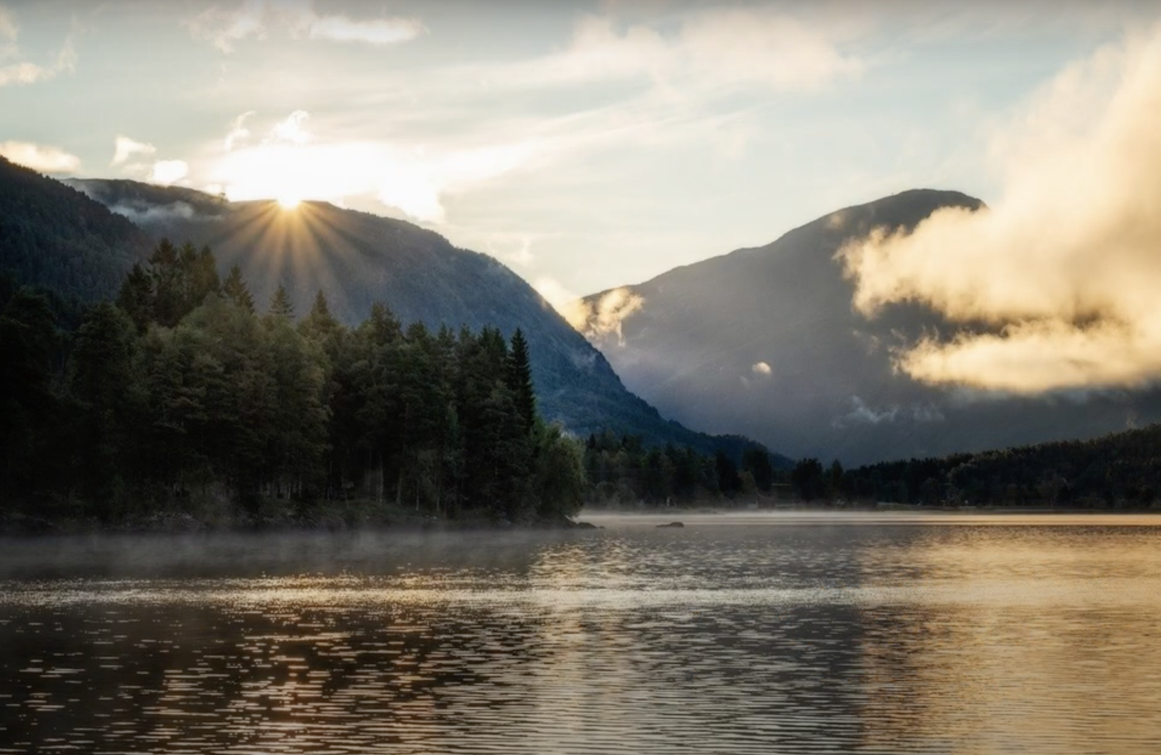 Reflection by Sr. Cathleen Murtha, DW