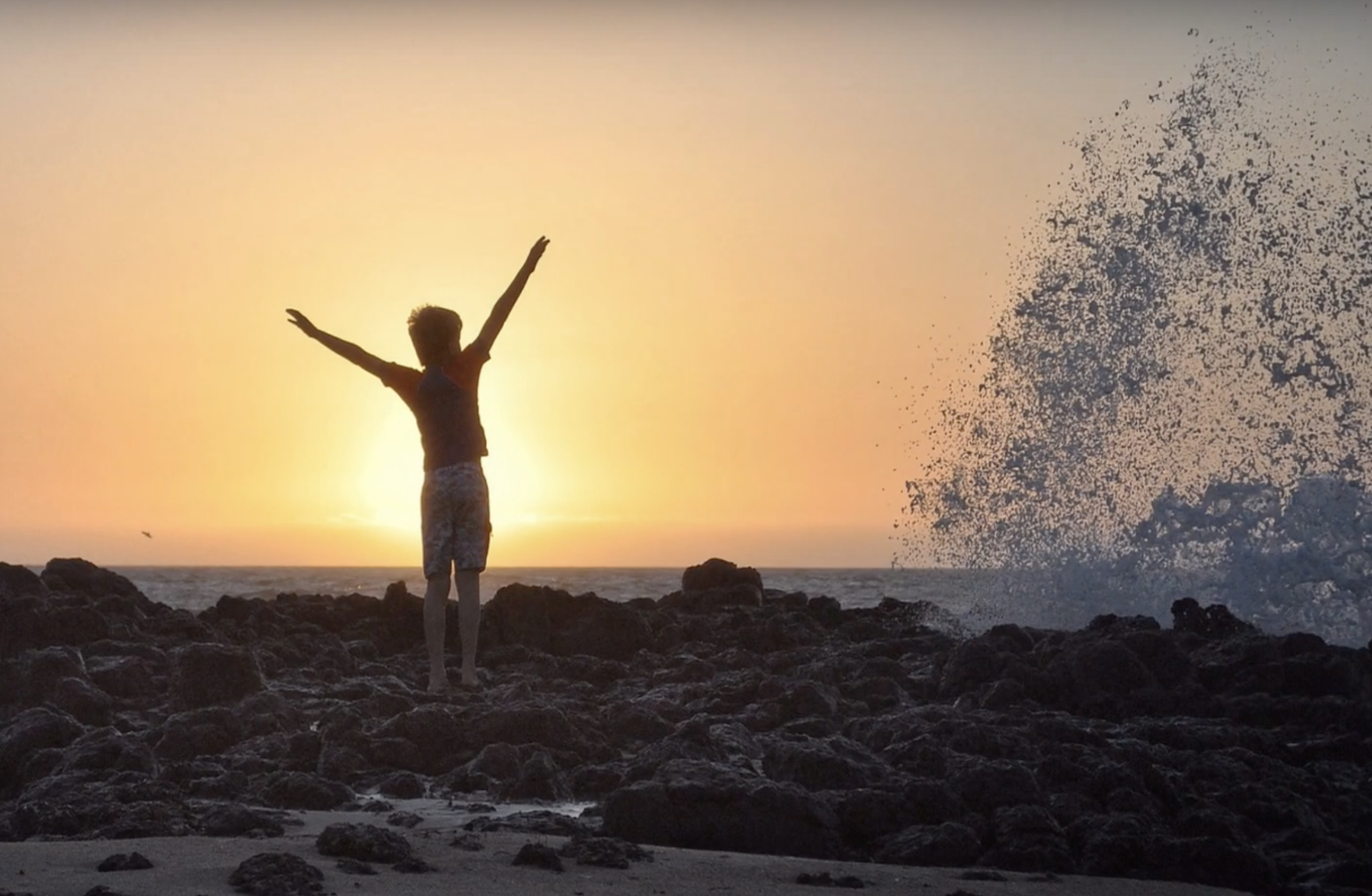 Reflection by Associate of Wisdom Audrey Schroeder