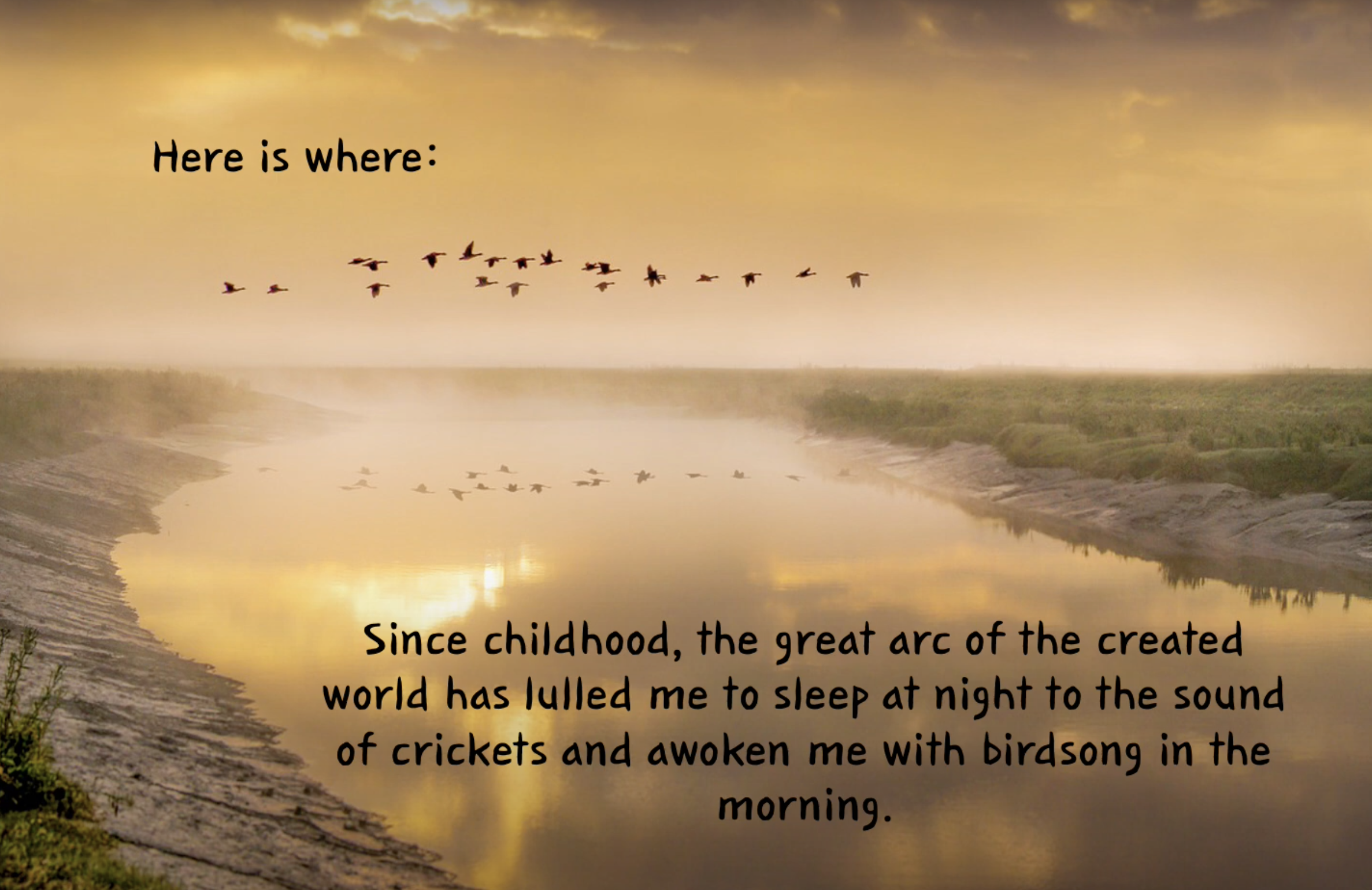 Reflection by Associate of Wisdom Ellen Francois