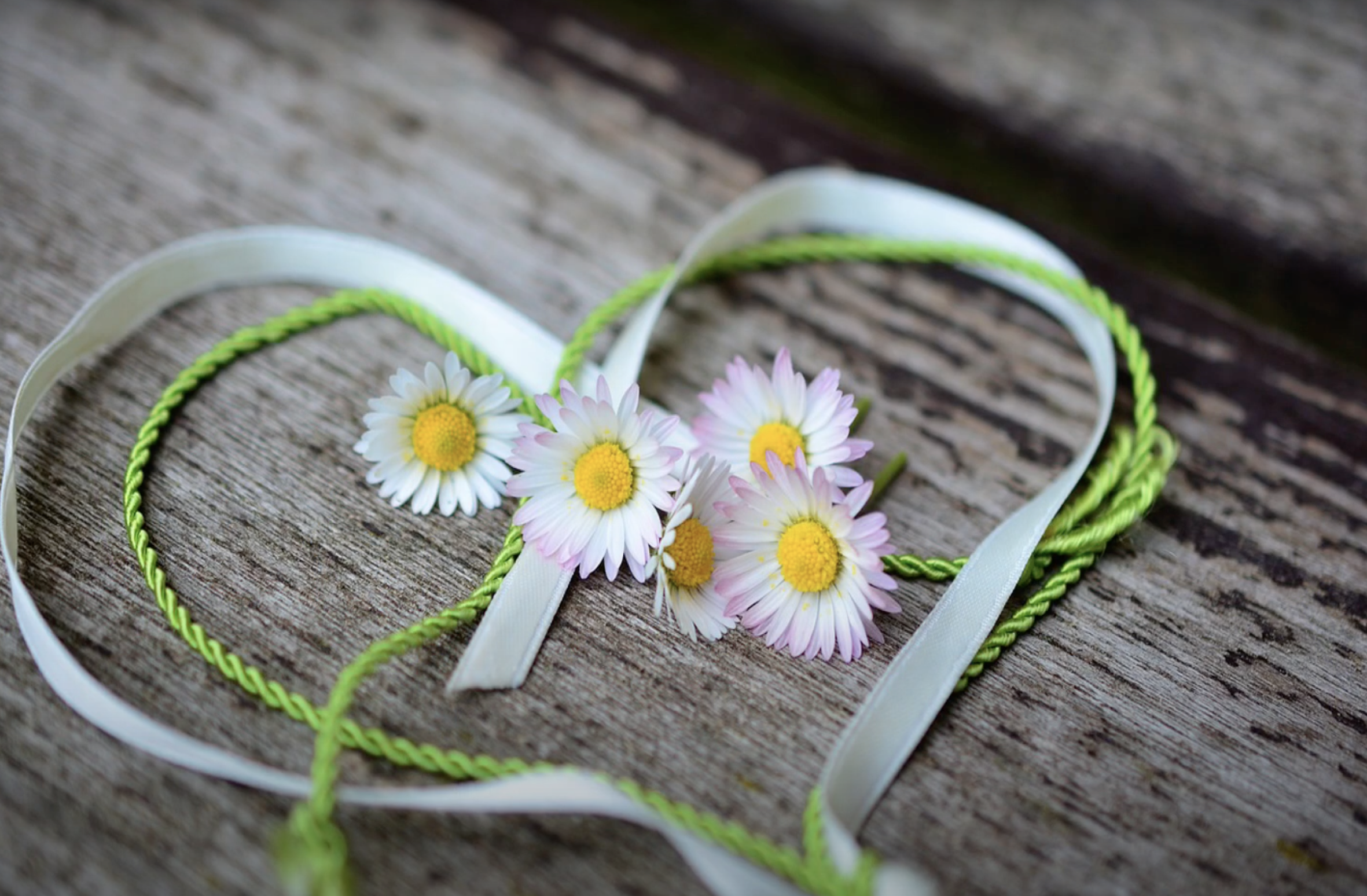 Reflection by Associate of Wisdom Bonnie Zaman