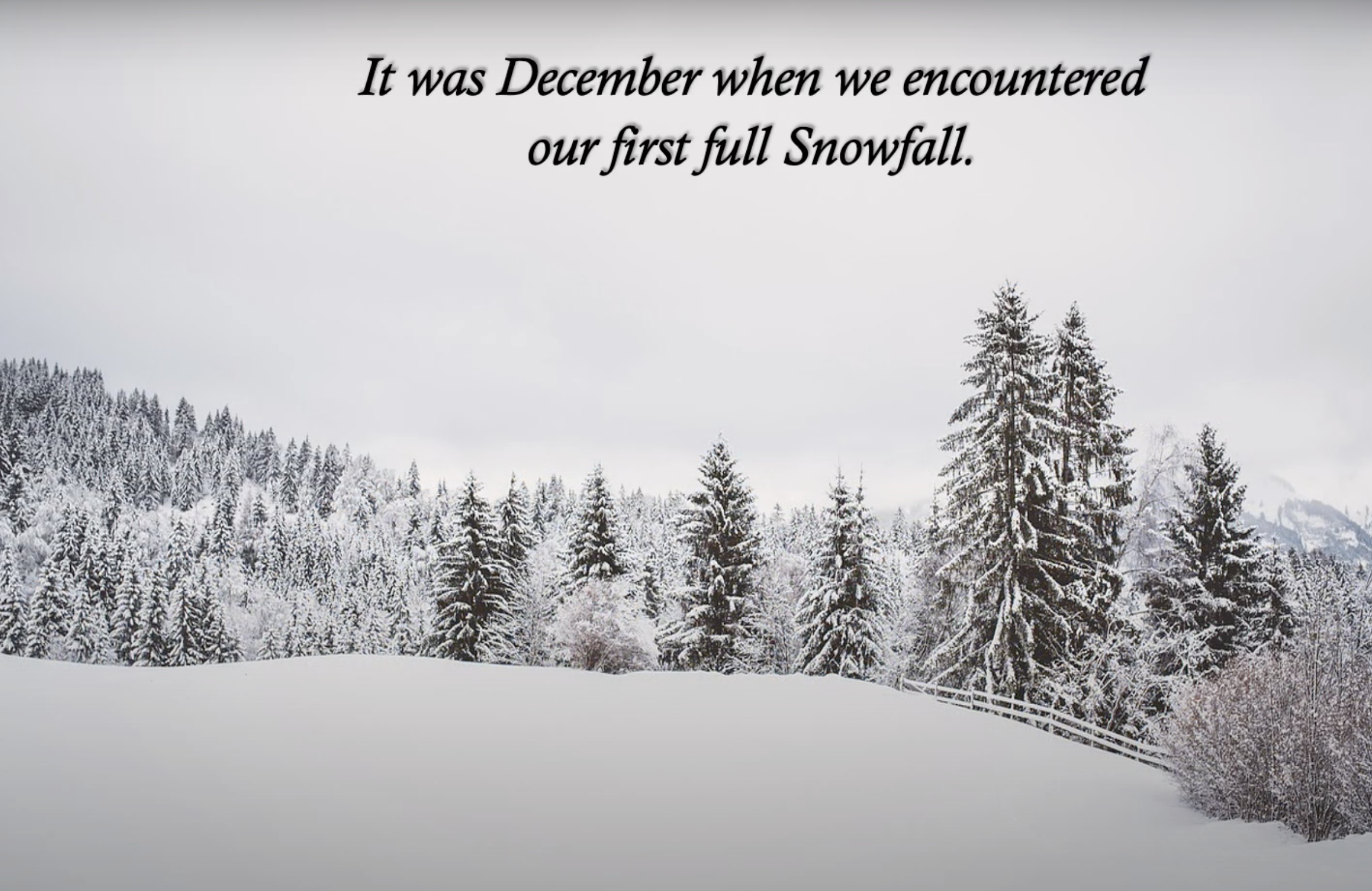 Reflection by Sr. Cathleen Murtha, DW