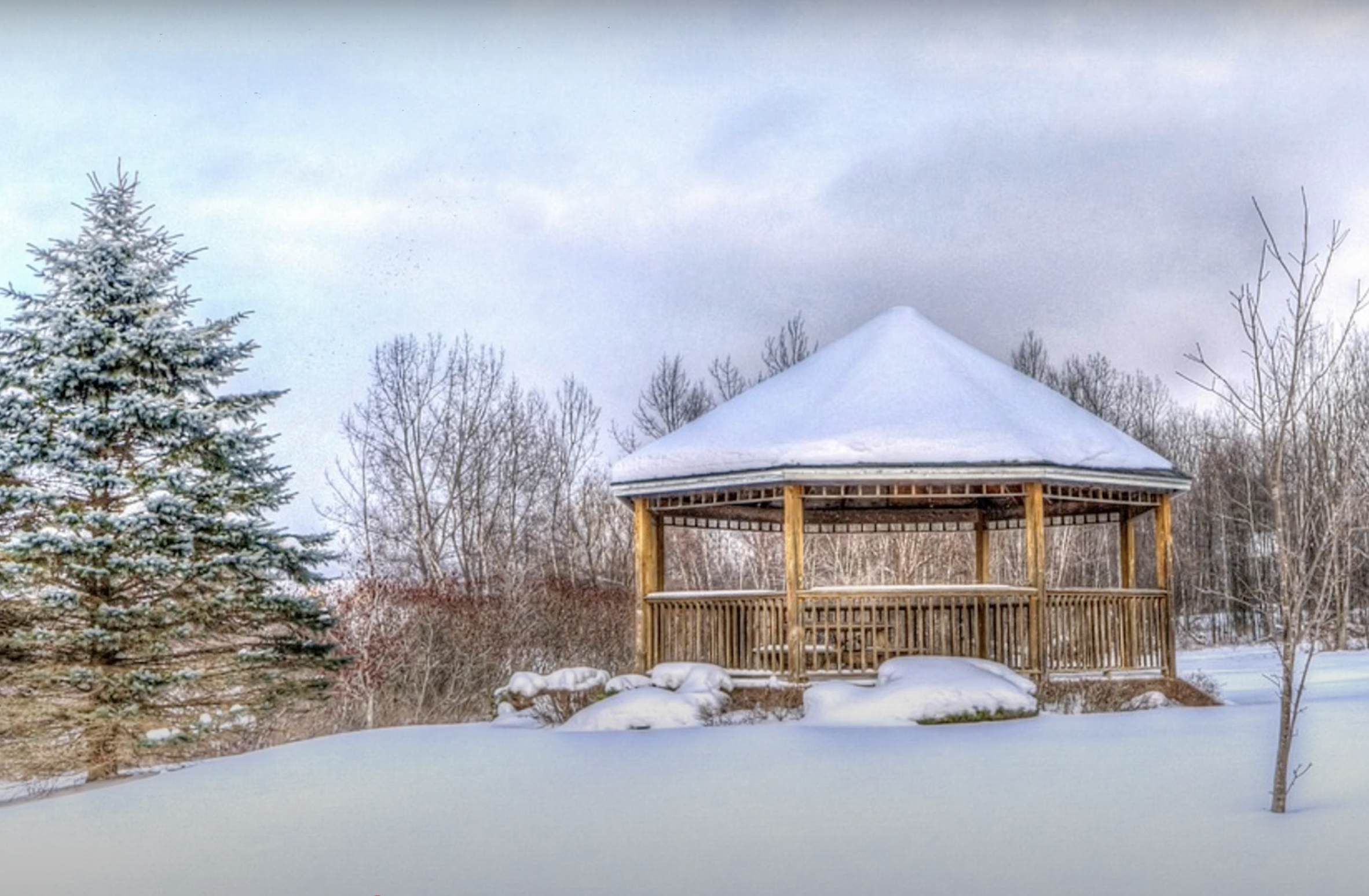 Reflection by Associate of Wisdom Pat Wolosz