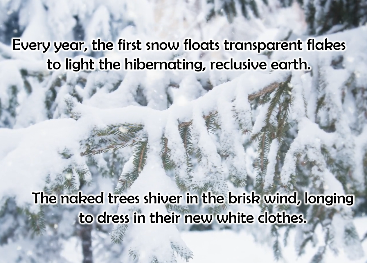 Reflection by Sr. Ann Gray, DW