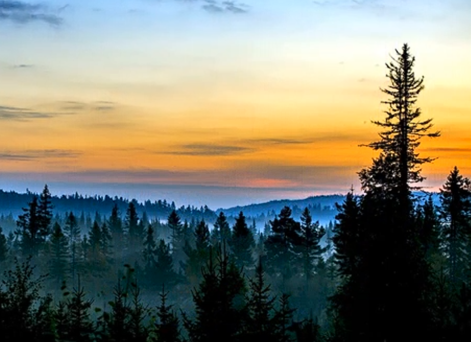 Inspirational Thought