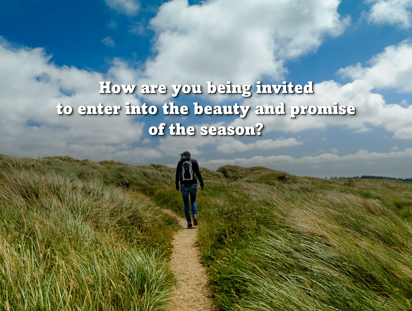 Reflection by Sr. Jo-Ann Iannotti, OP