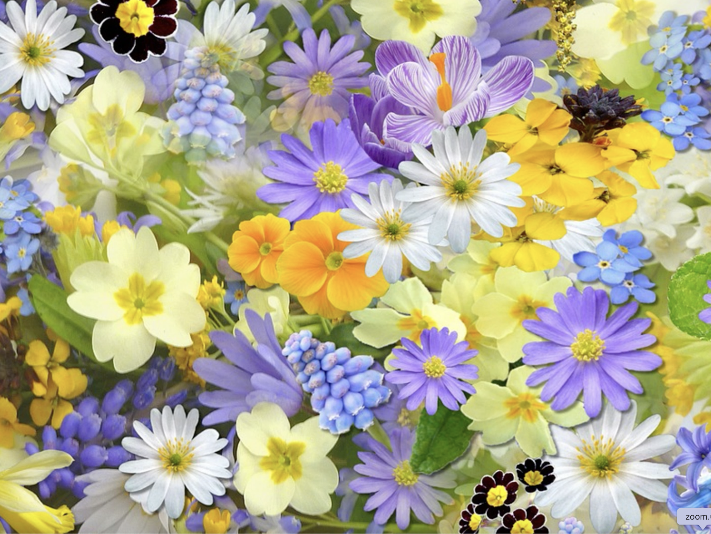 Reflection by Associate of Wisdom Pat Wolosz