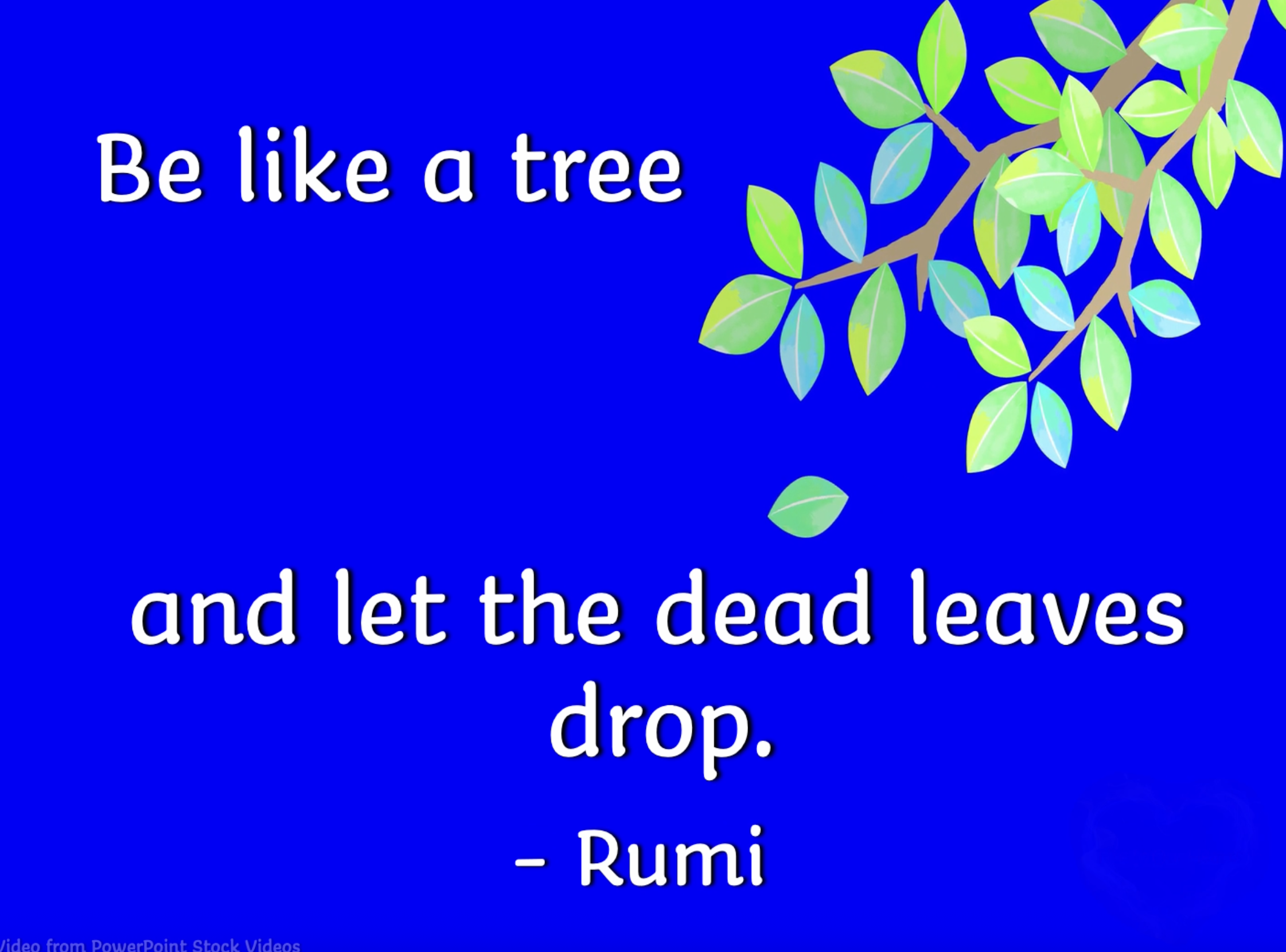 Inspirational Thought