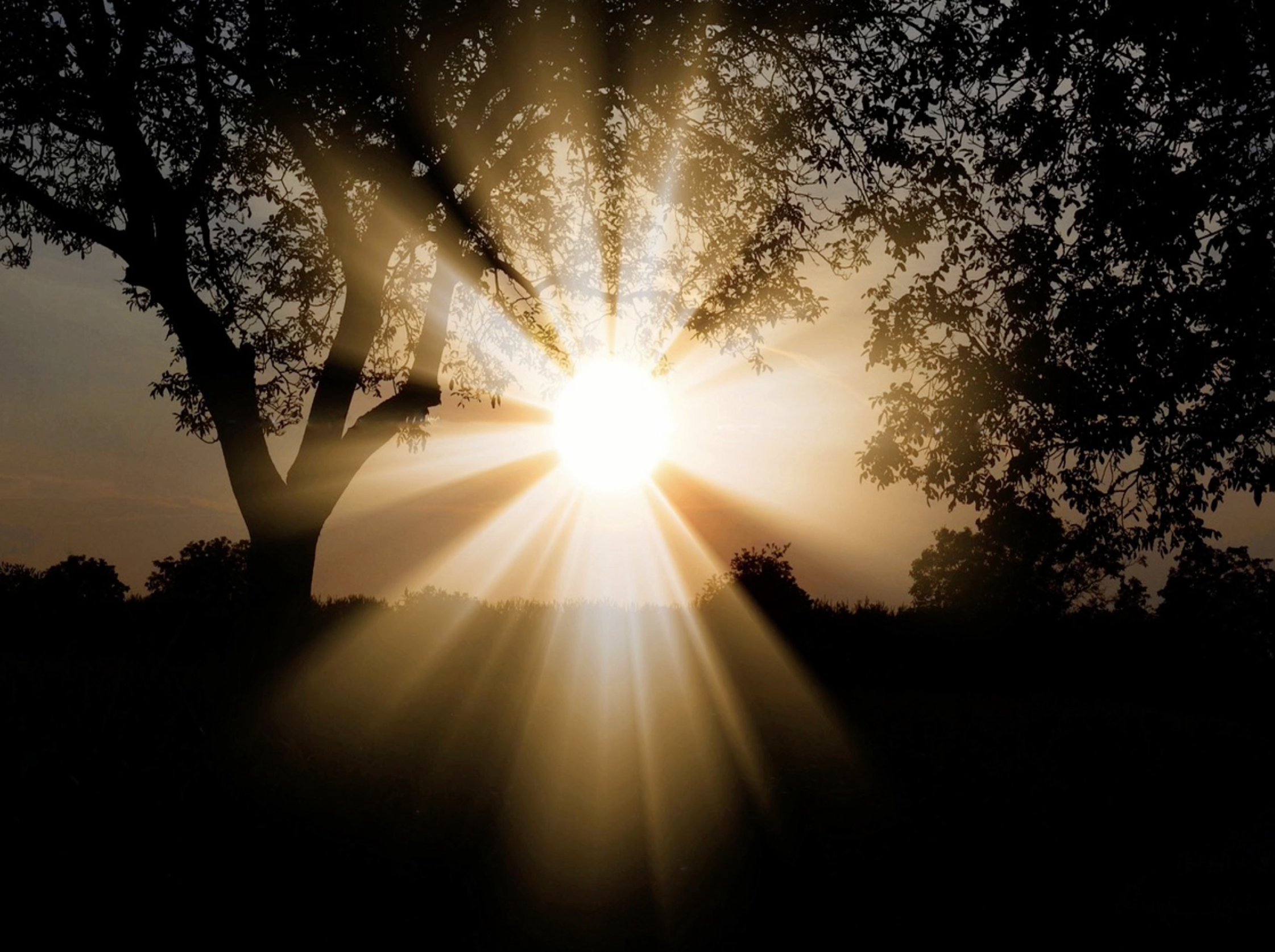 Reflection by Associate of Wisdom Ellie Filippone