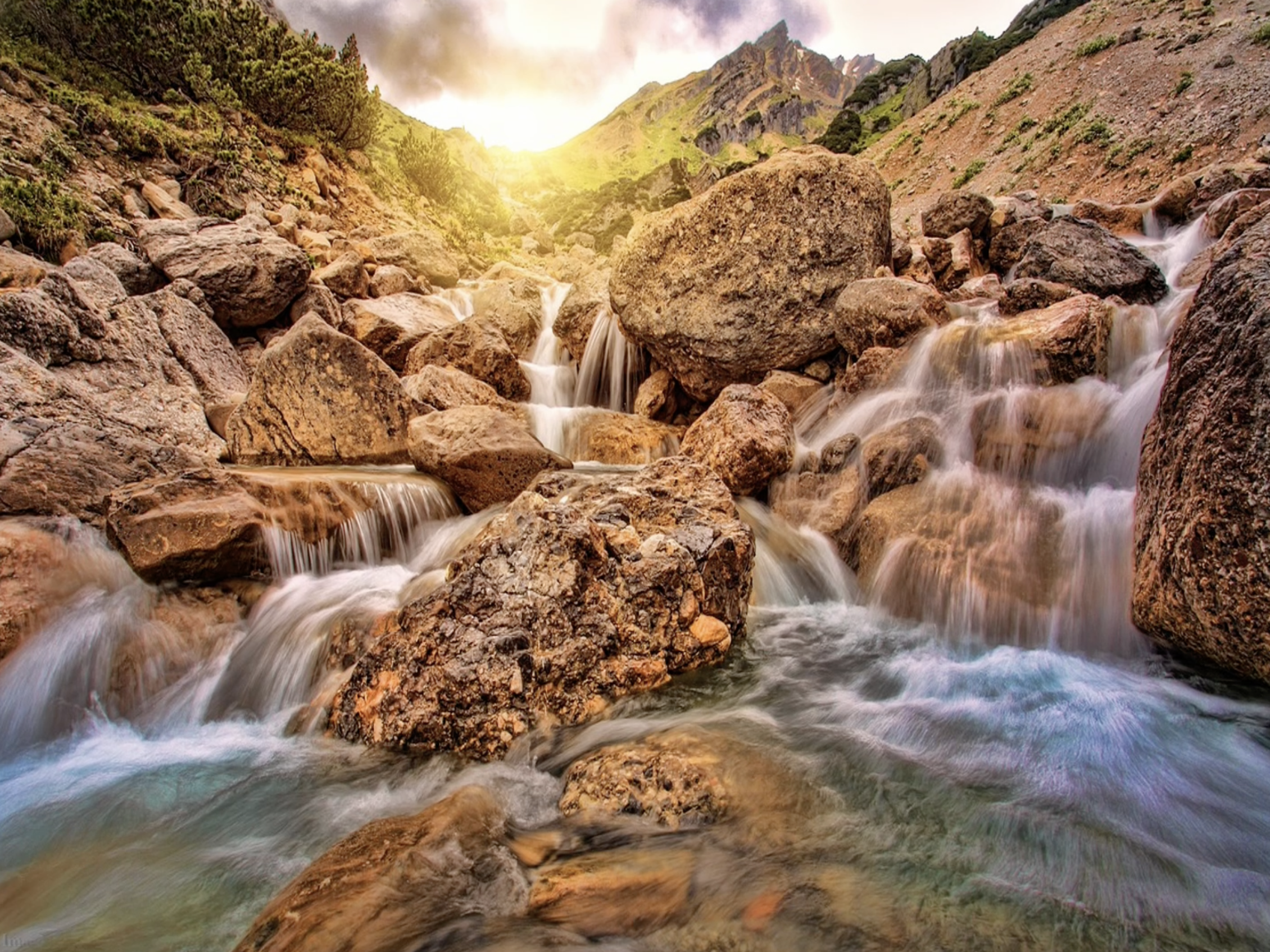 Reflection by Associate of Wisdom Bonnie Zaman