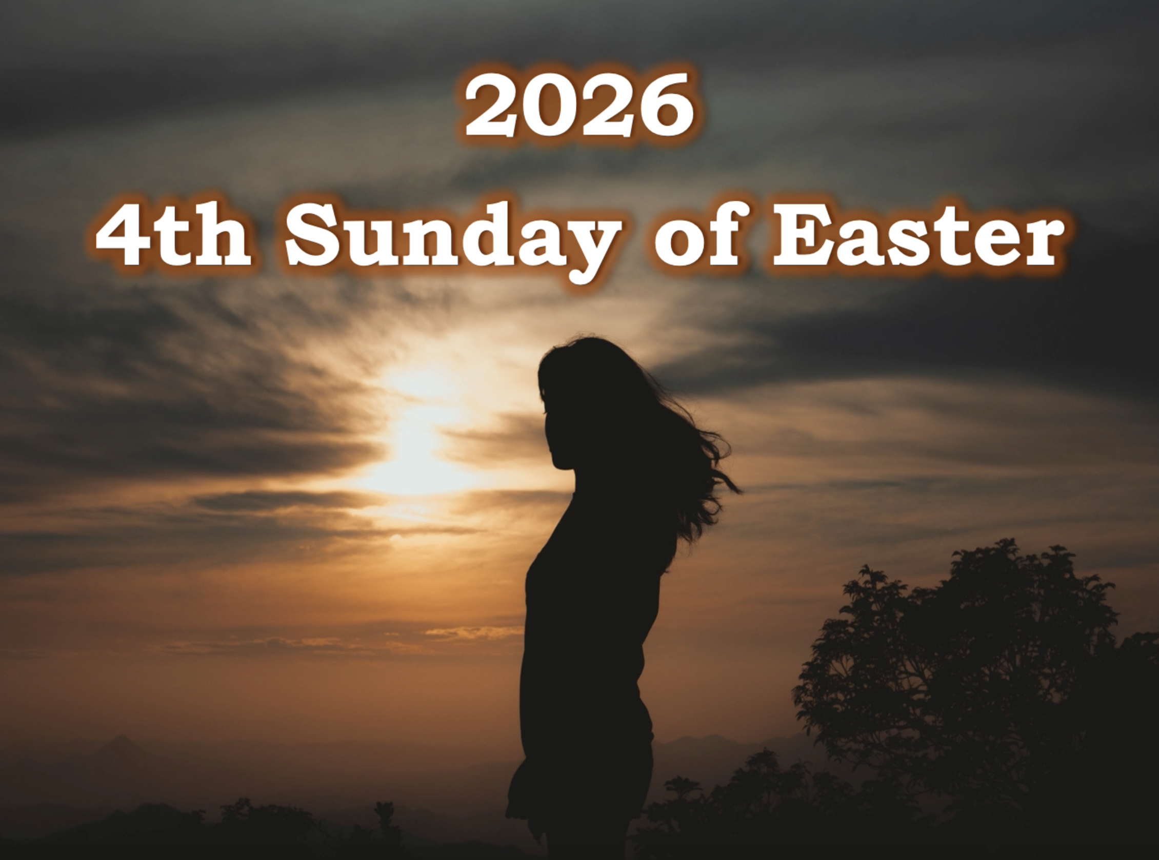 Reflection by Associate of Wisdom Audrey Schroeder