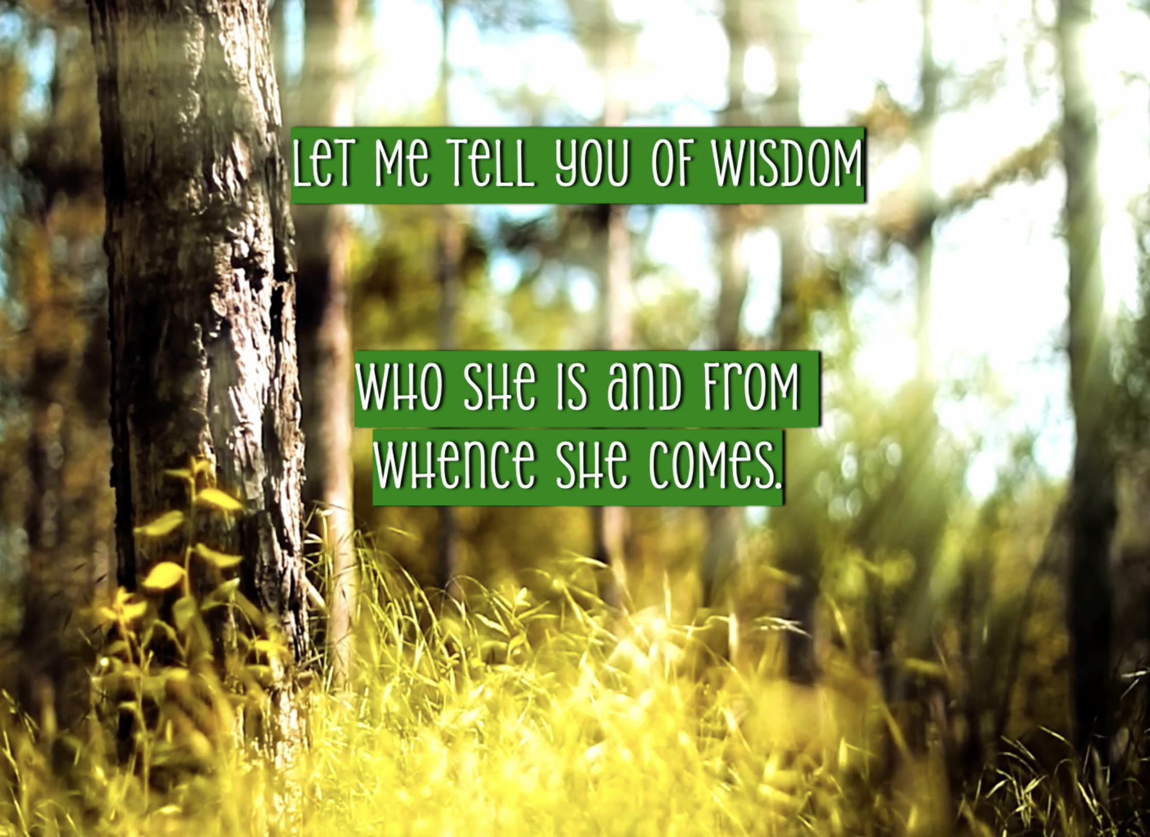 Reflection by Sr. Diane Capozzi, DW