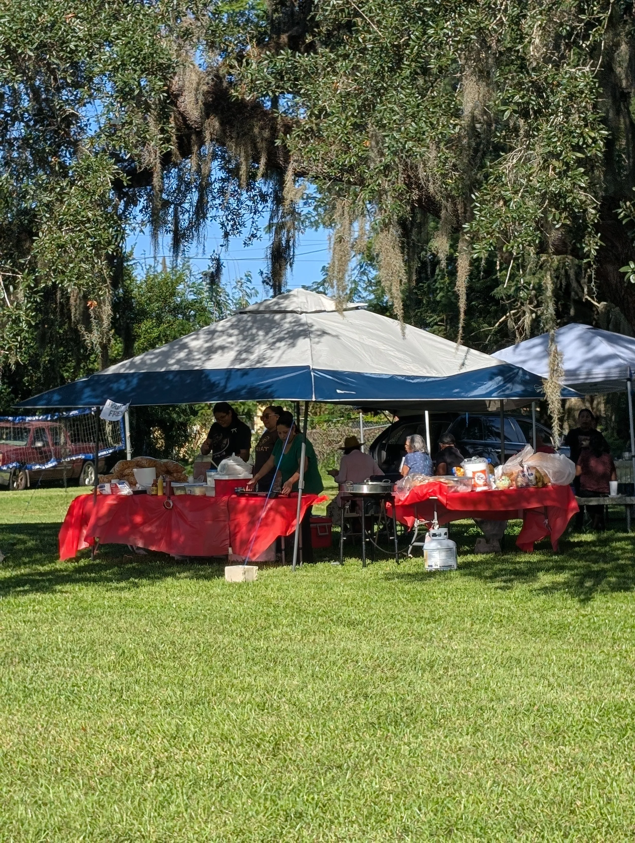 PXL_20260916_210418425.jpg