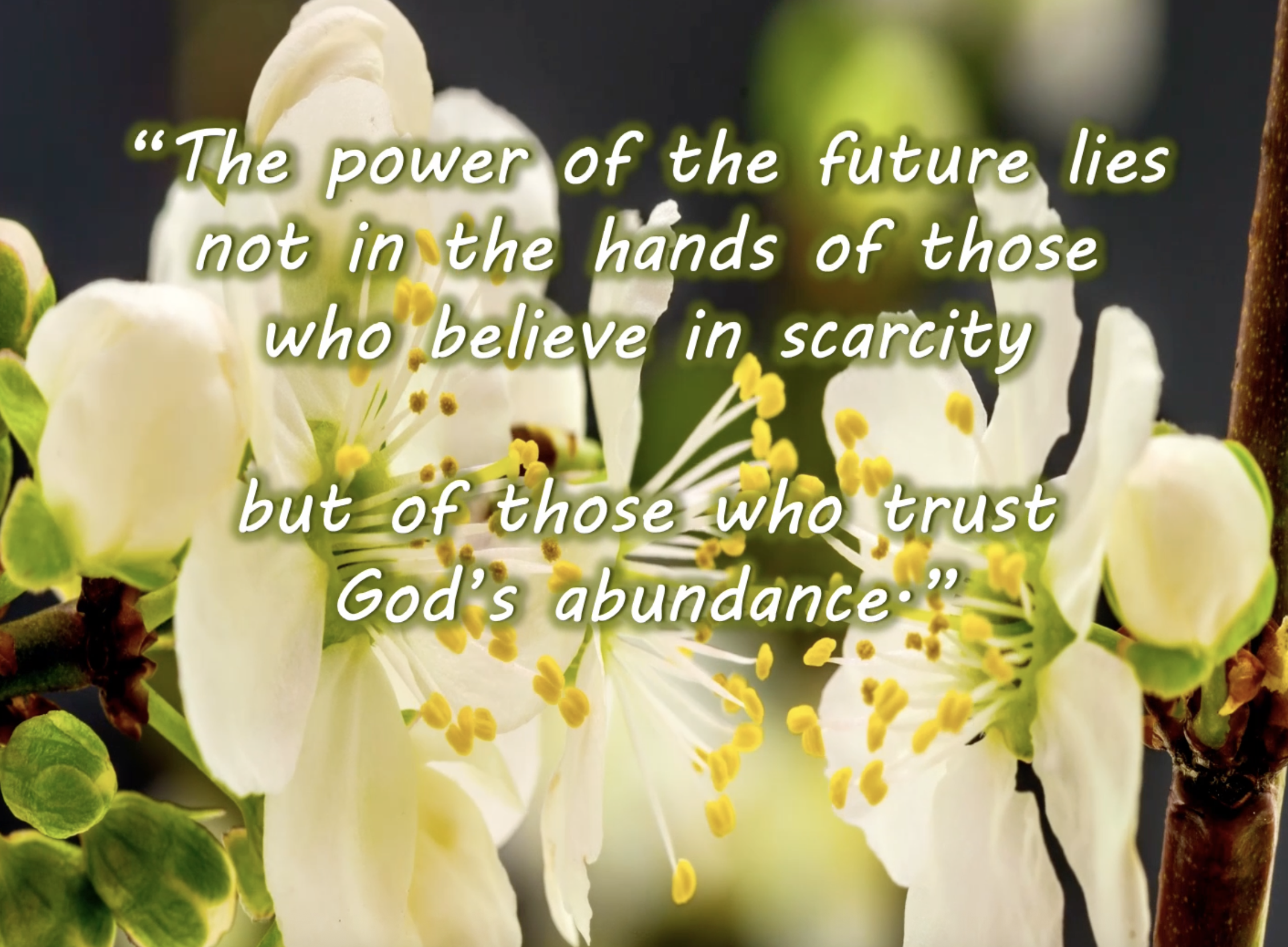 Reflection by Sr. Evelyn Eckhardt, DW