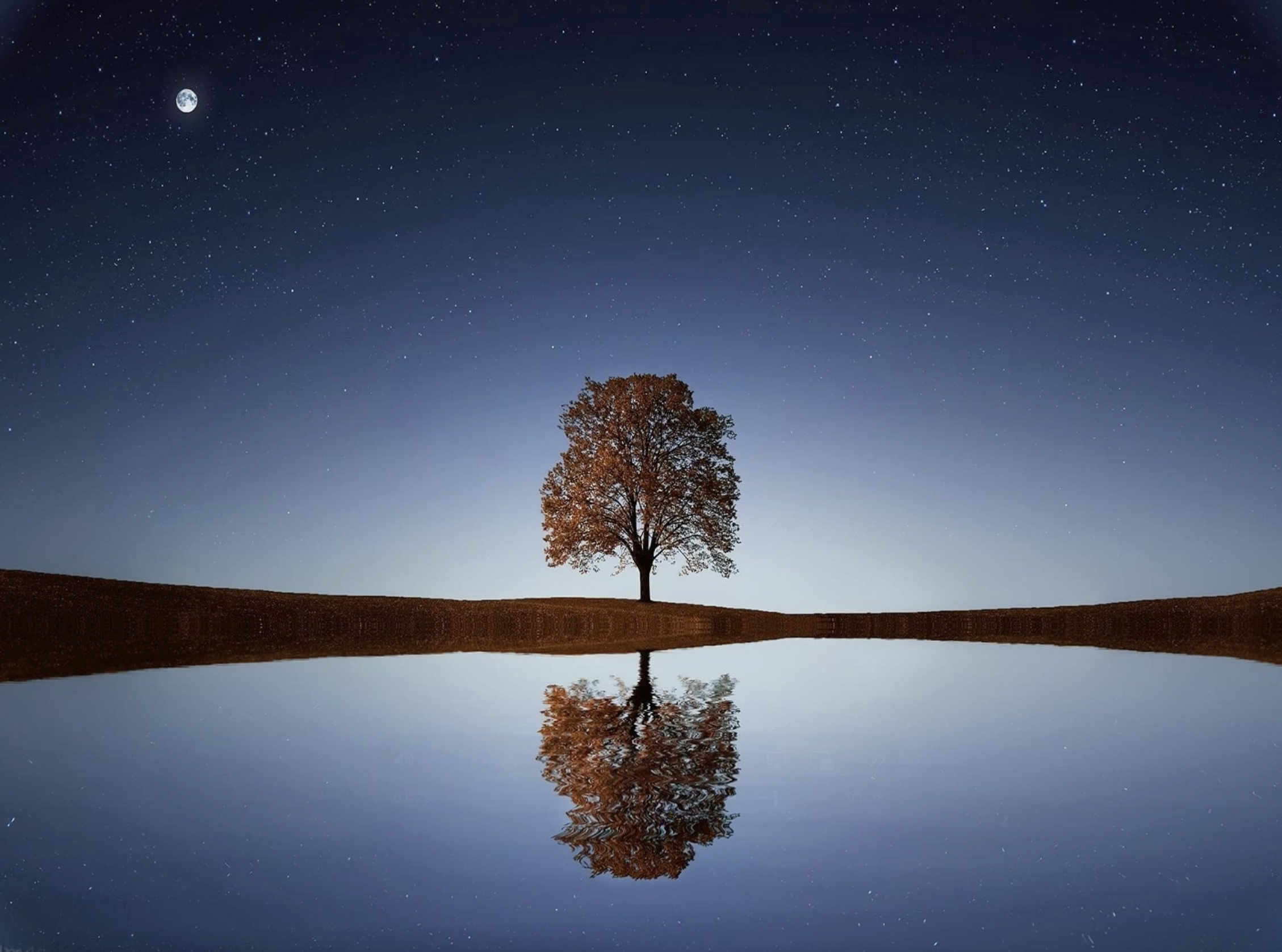Reflection by Associate of Wisdom Ellie Filippone