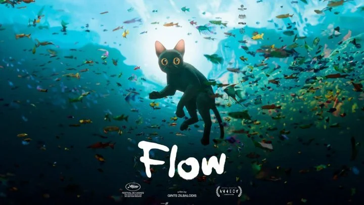//Flow 