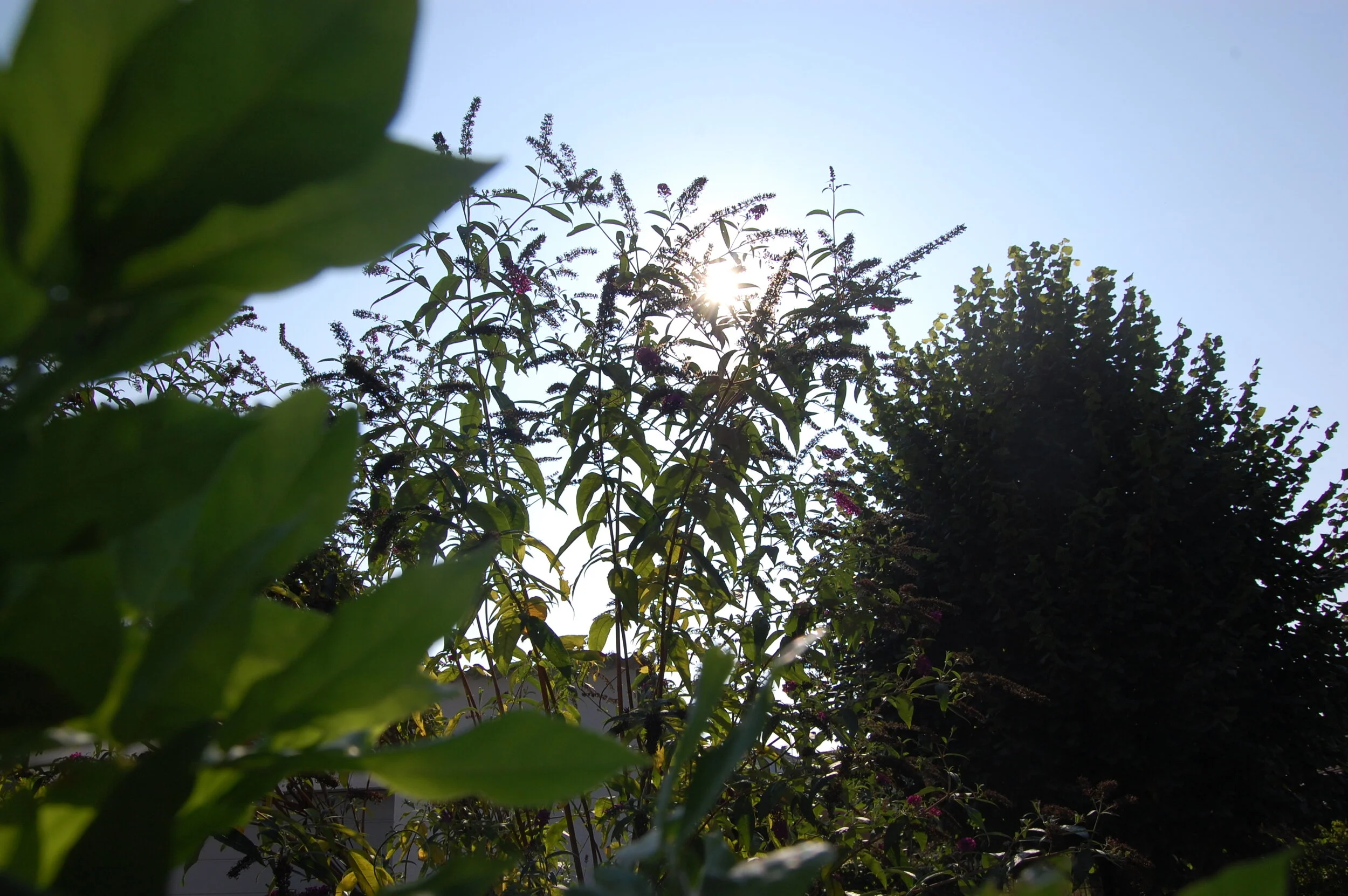Das Frühjahr steht vor der Tür – und die Natur in den Startlöchern!