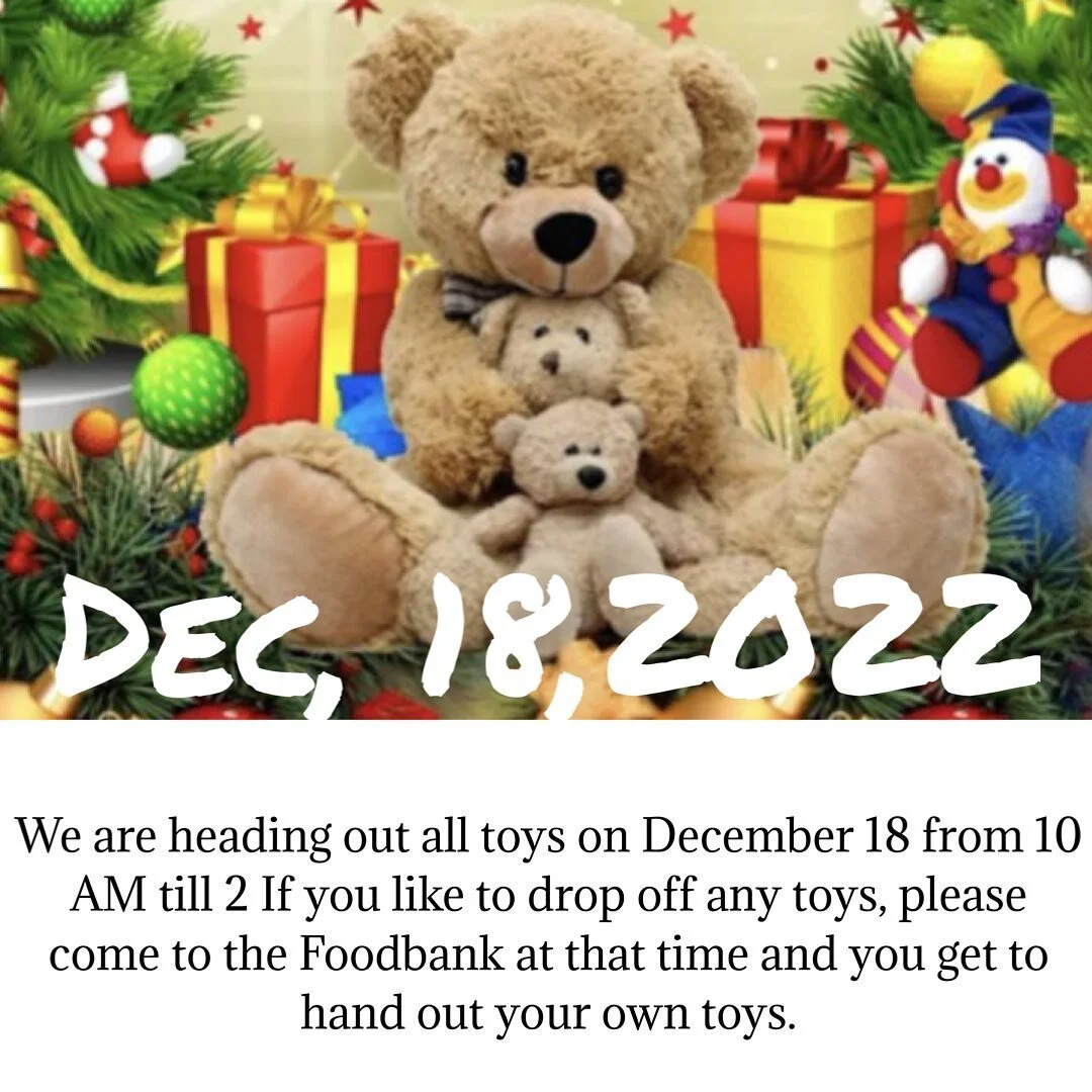 This year was great. We had so many donors coming forward for our annual toy giveaway at Christmas time especially Village orthodontist in Yorkville this year our count has gone from 200 kids to 425 kids thank you again everybody making some kids liv