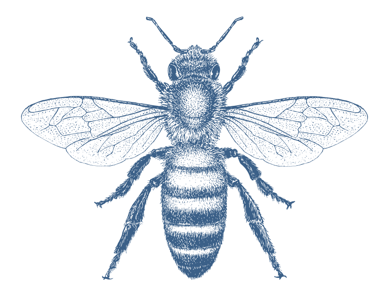 I run from bees James Dallin Addiction Talk