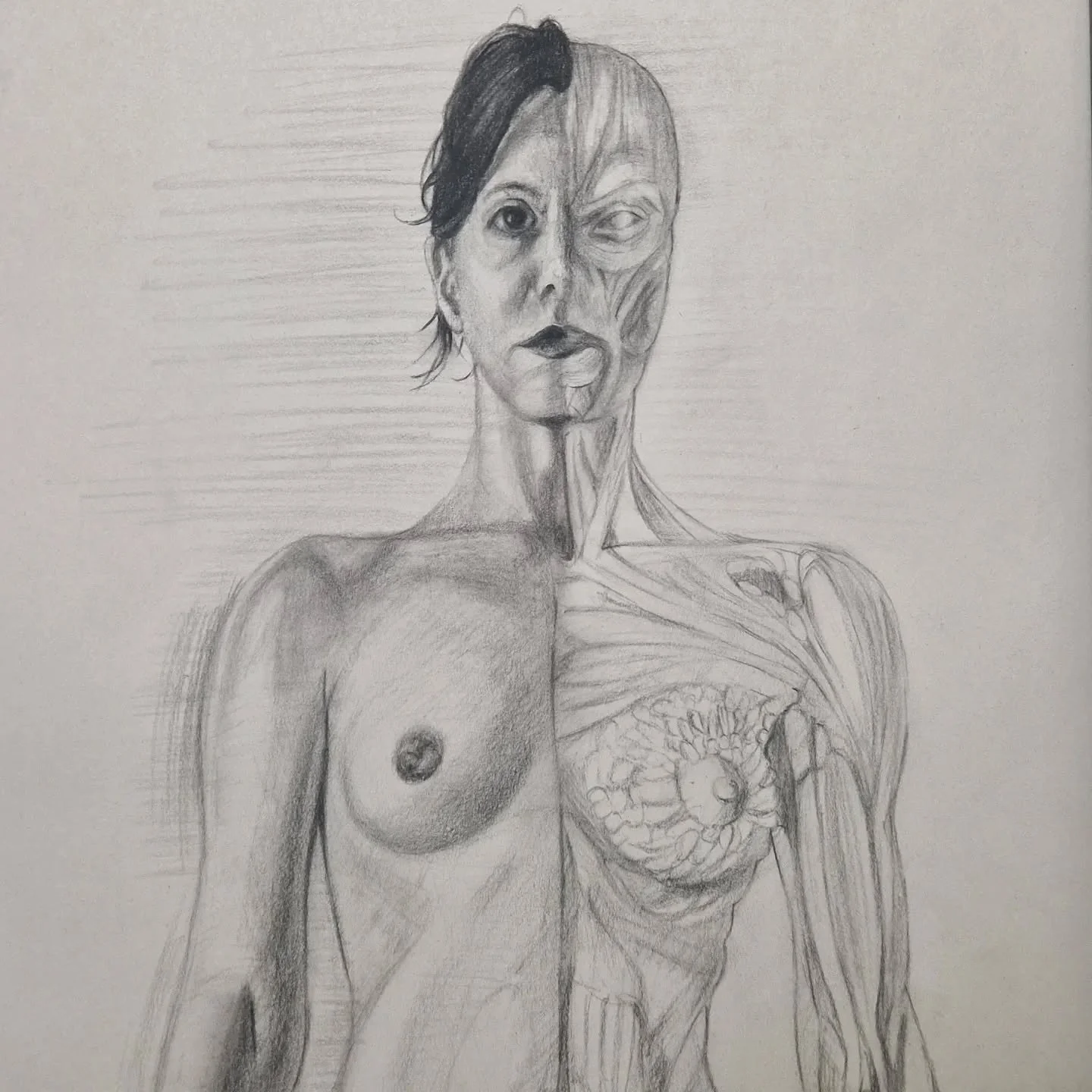 Really enjoying musculing into these anatomical drawings...the human machine is quite a bit advanced evolutionary wonder indeed!