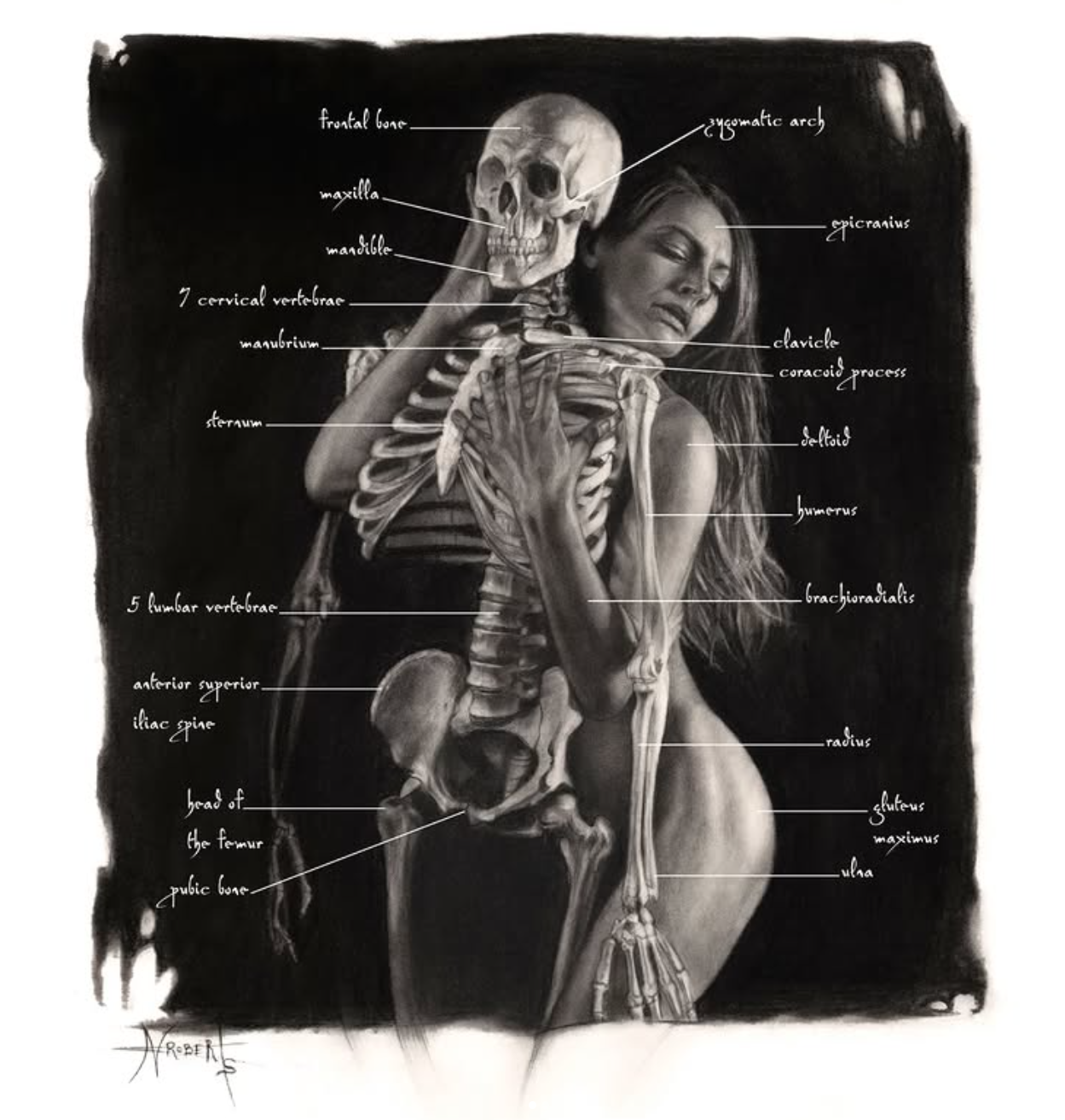 DRAWINGS 2023 - 2026