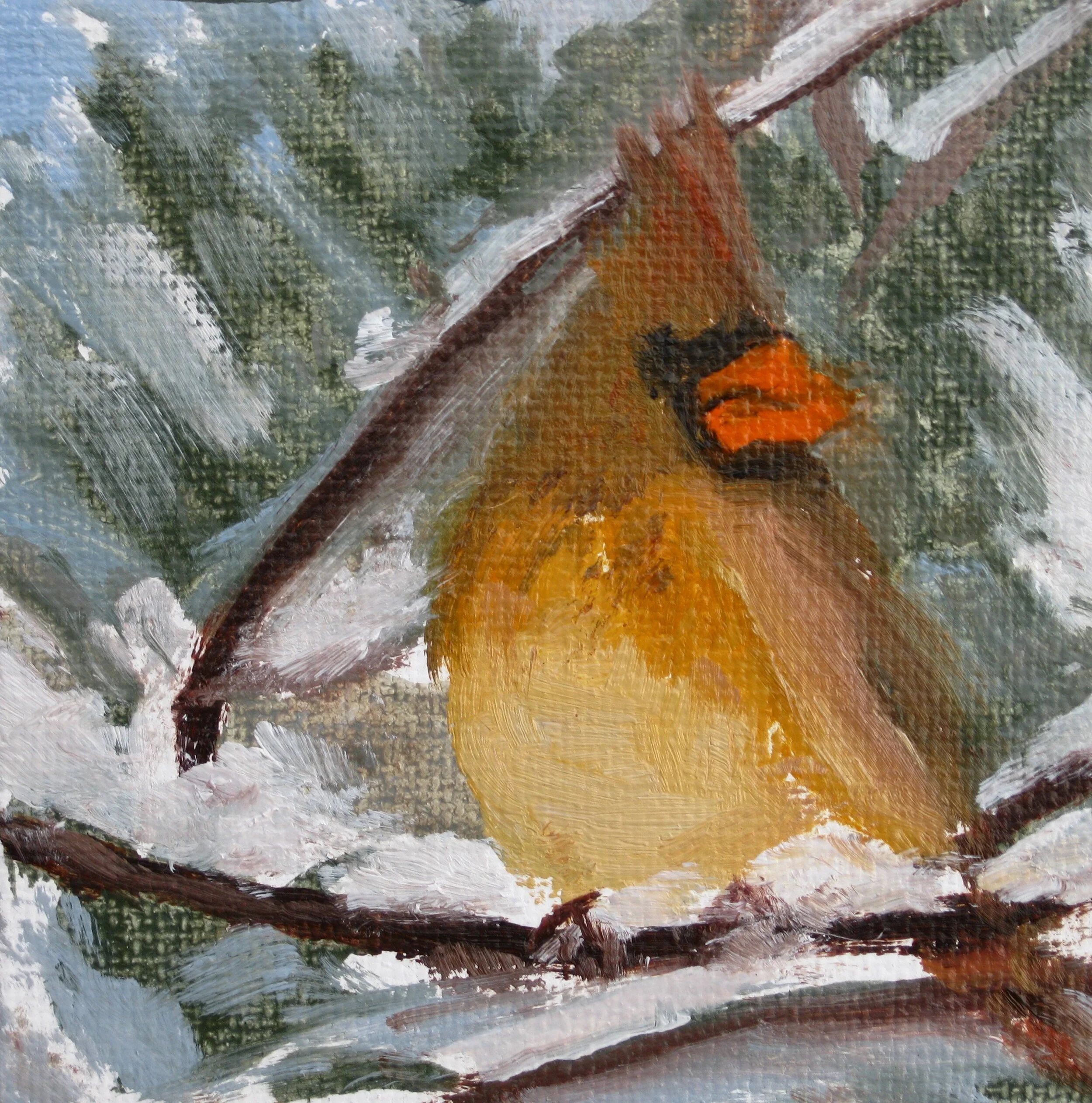Cardinal--gold--SOLD!