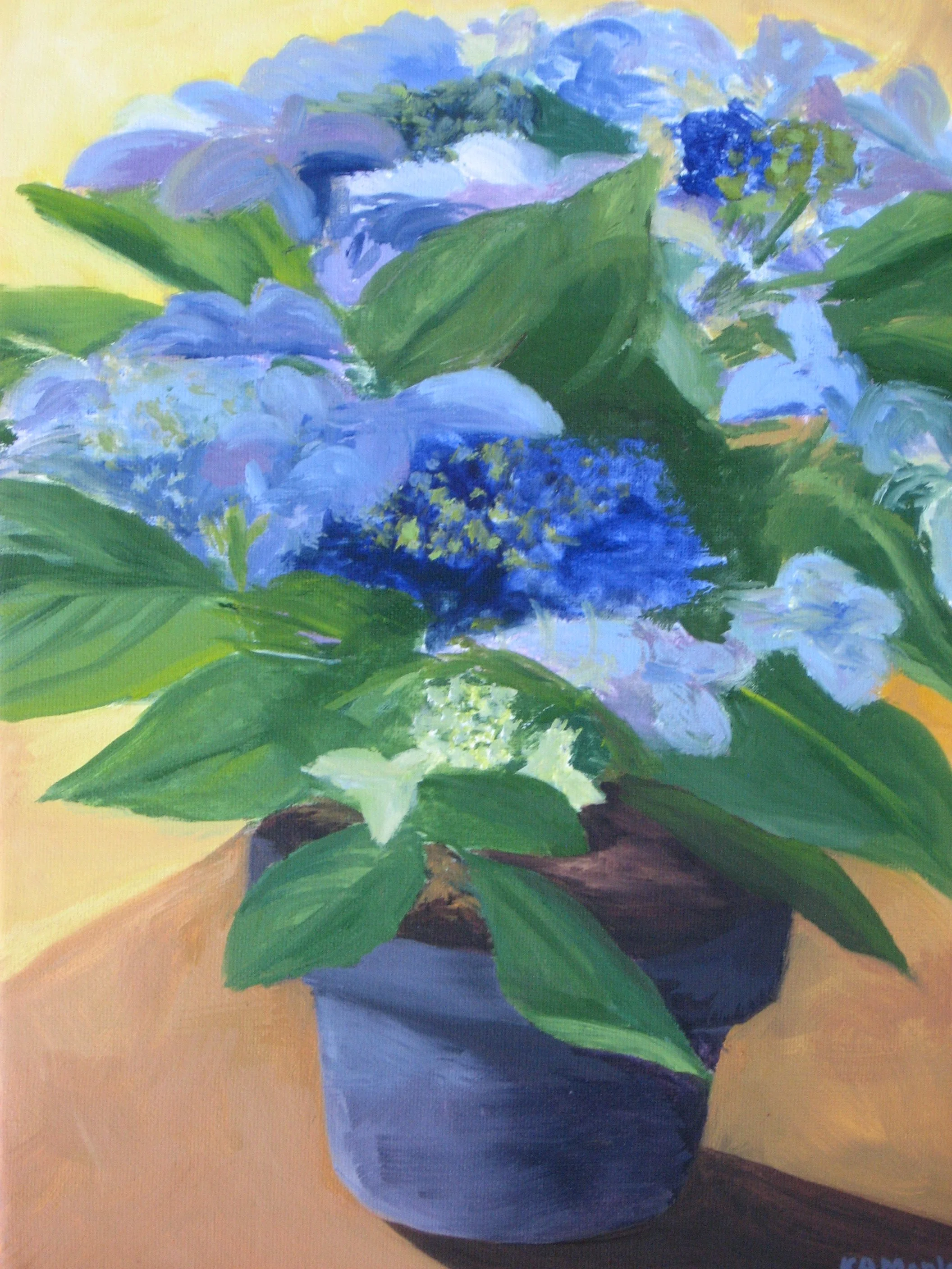 Hydrangea