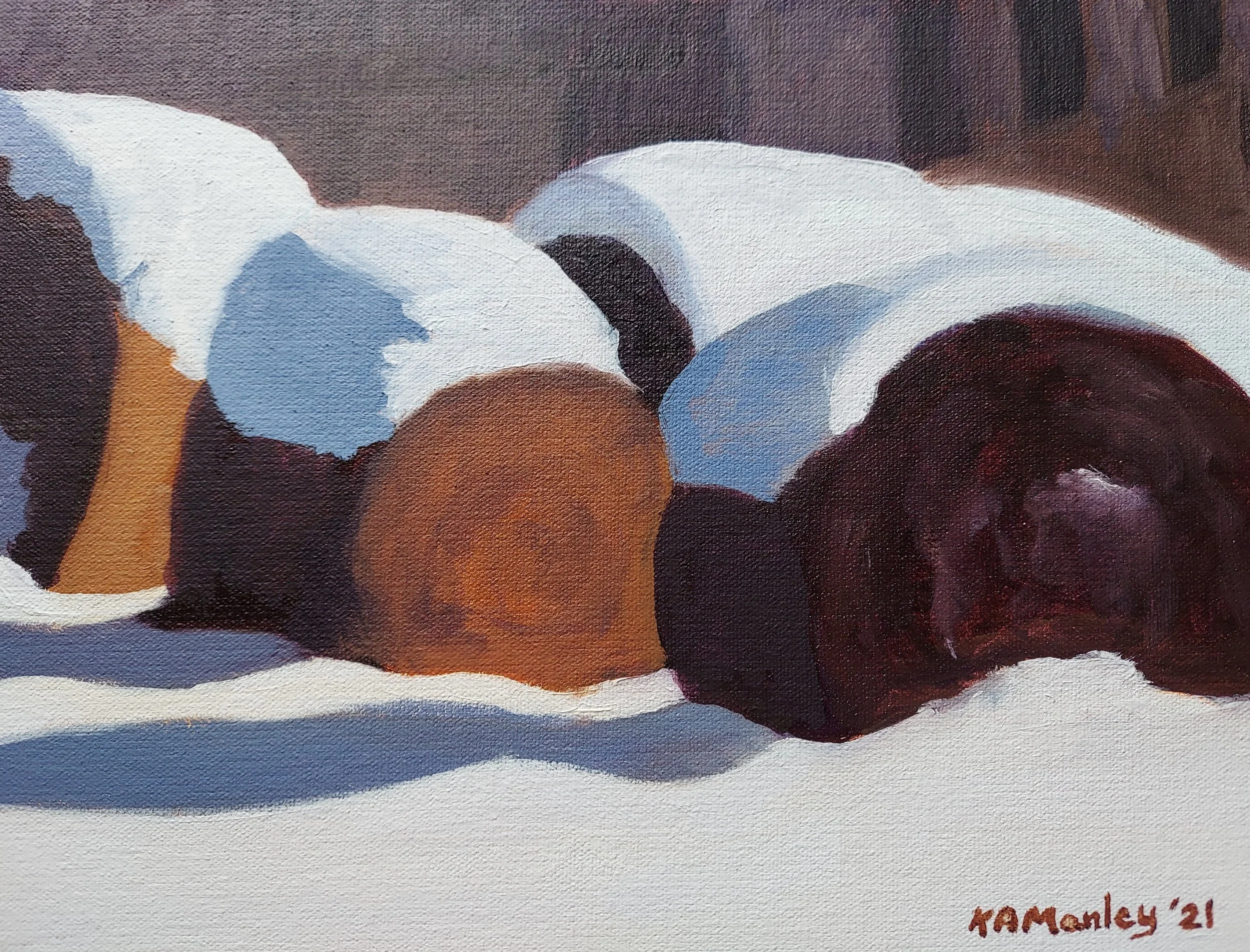 Snow-Covered Bales