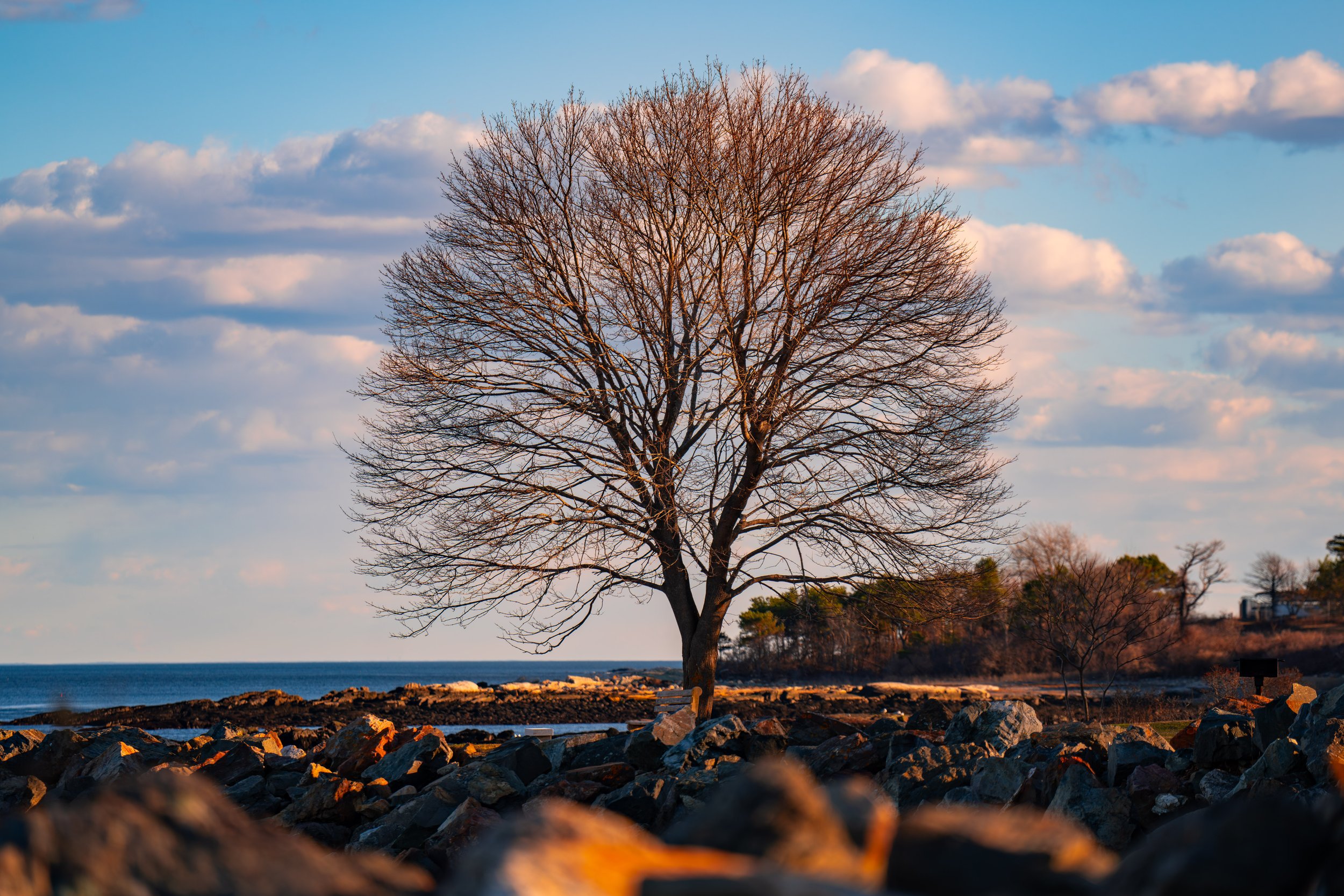 Stand Alone | New Castle, NH