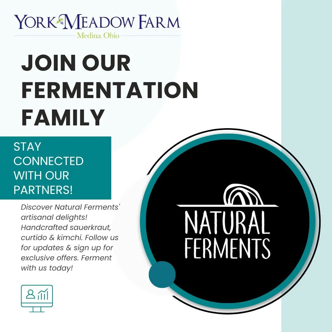 Join Our Fermentation Family