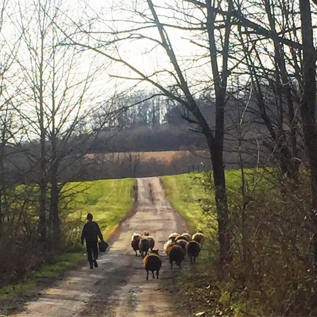 Girls heading home