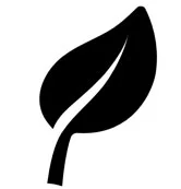 leaf.jpg