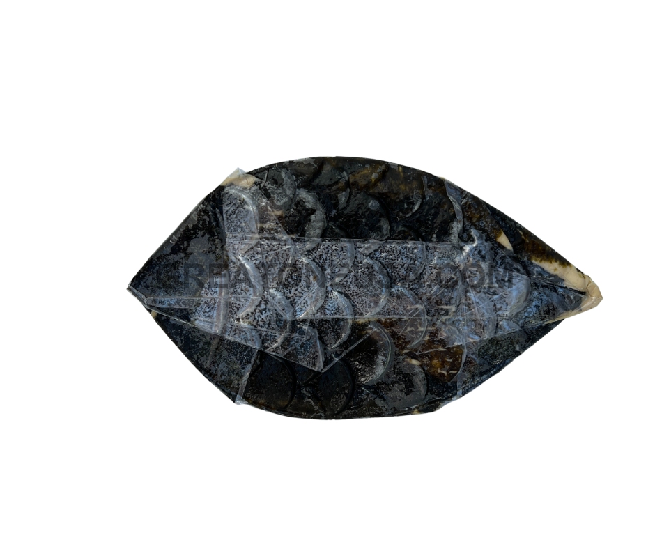 VEGAN SEAWEED FISH BACK WM.png