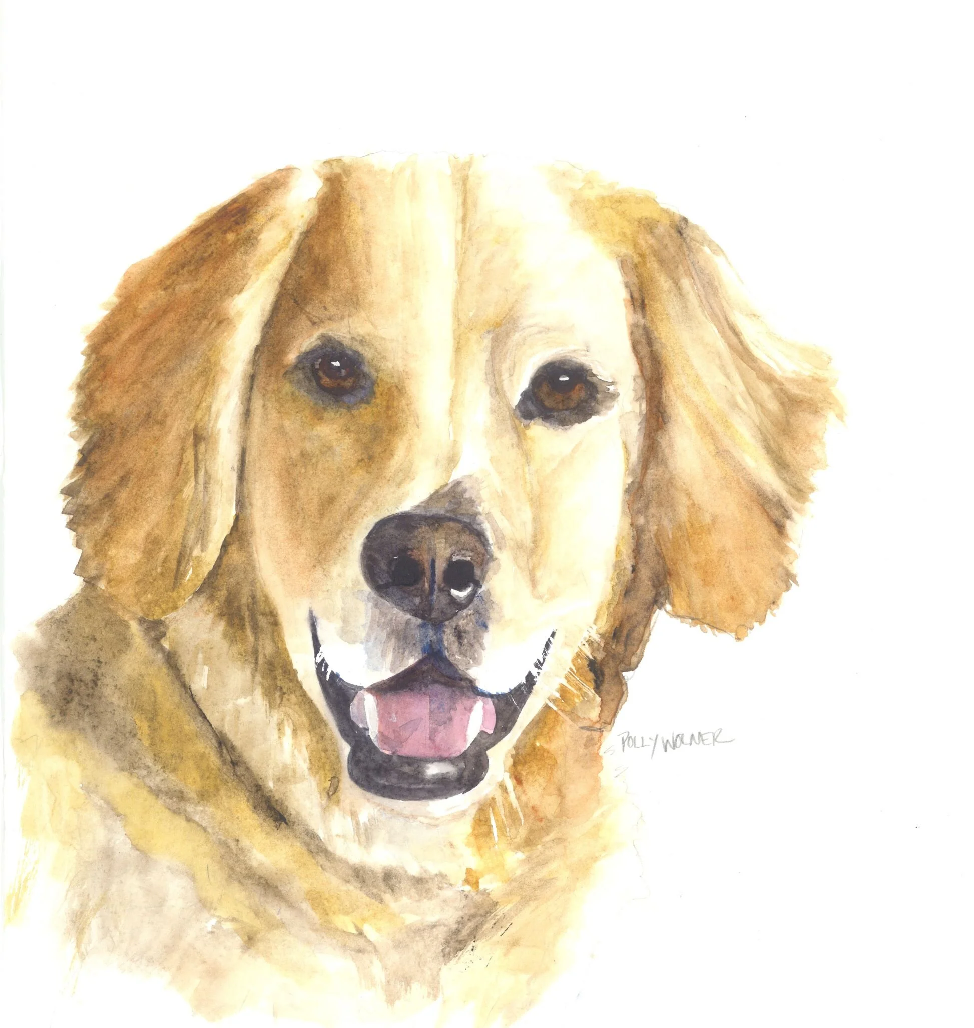 pets-goldenretriever.jpg
