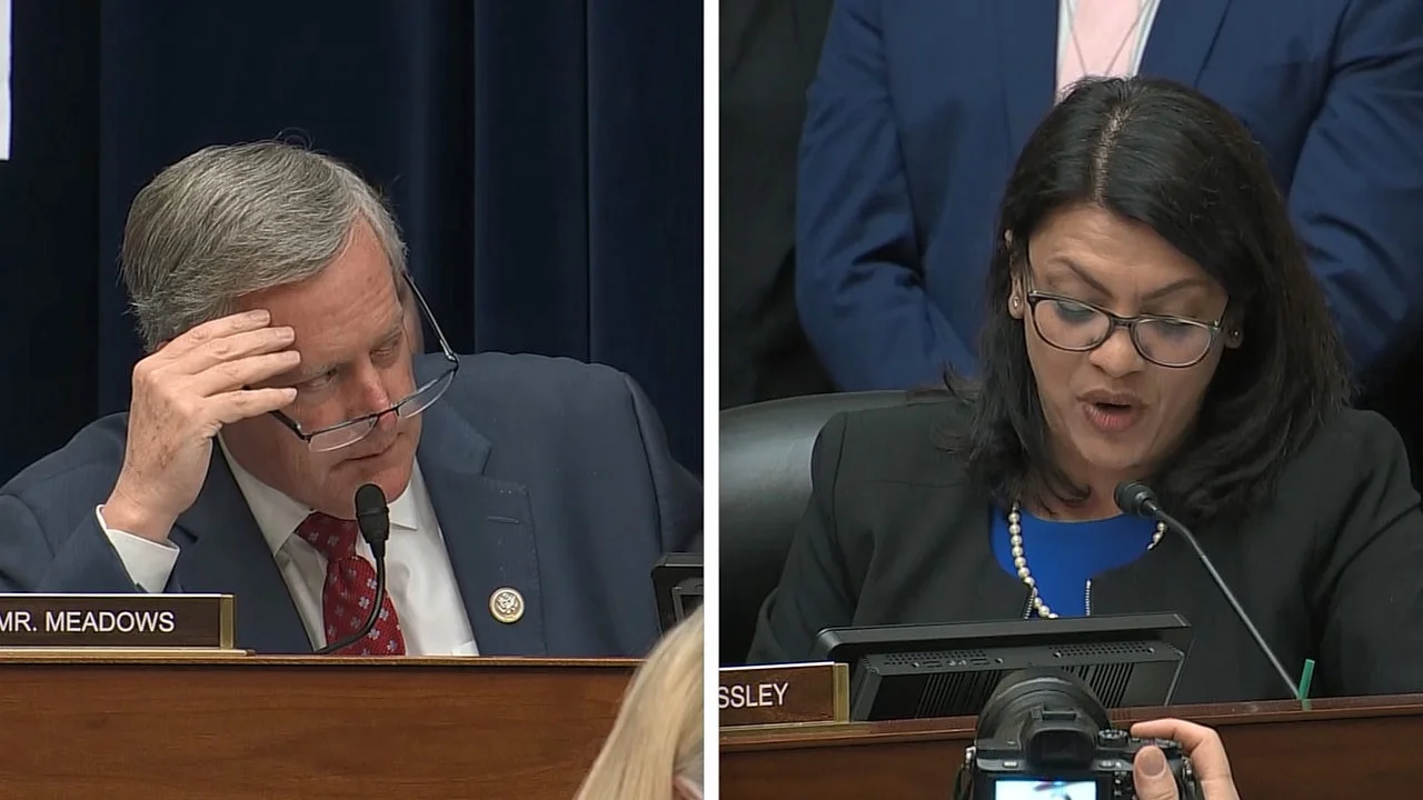 Tlaib's racial obsession is divisive 