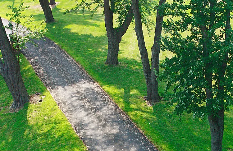 options-arpartments-grounds.jpg