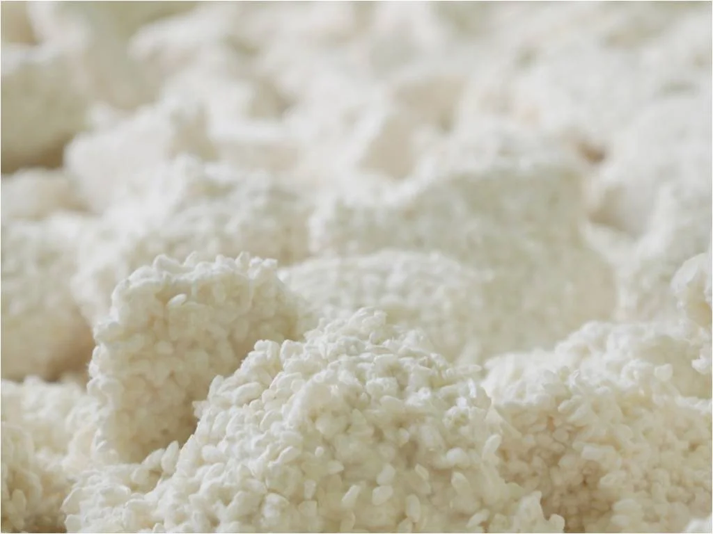 Photo-4_Koji-Mold.jpg