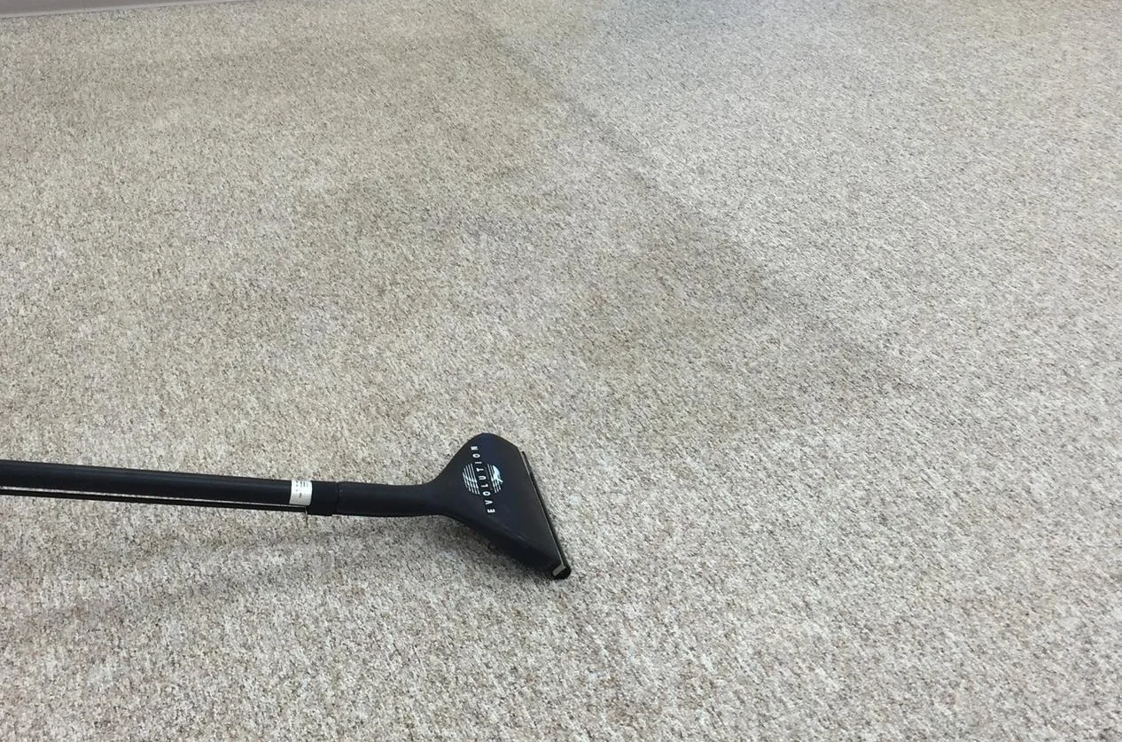 Carpet+Cleaning.jpg