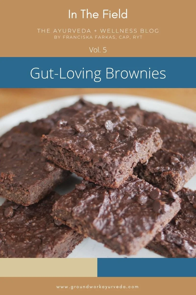 In the Field | Vol. 5 | Gut-loving Brownies